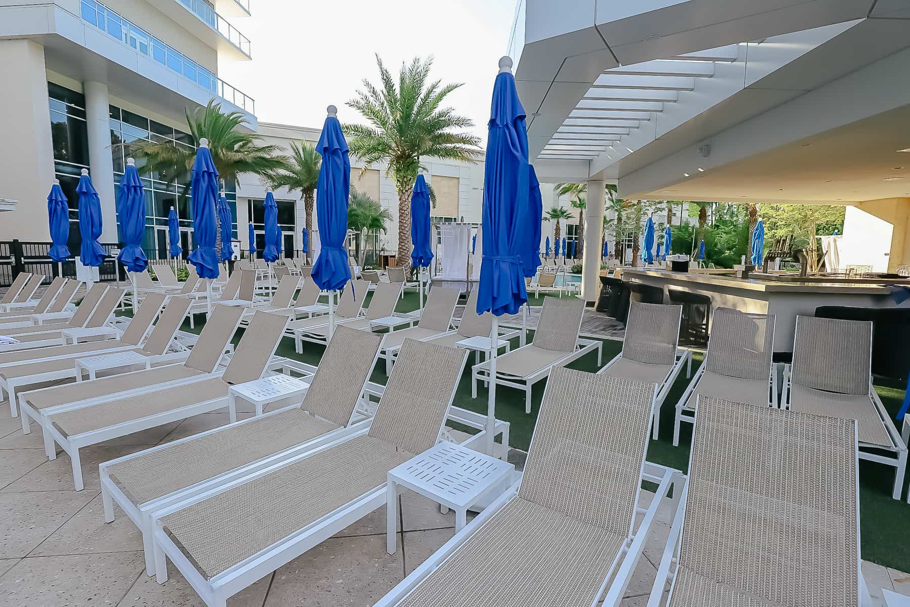 lounge chairs at the pool 