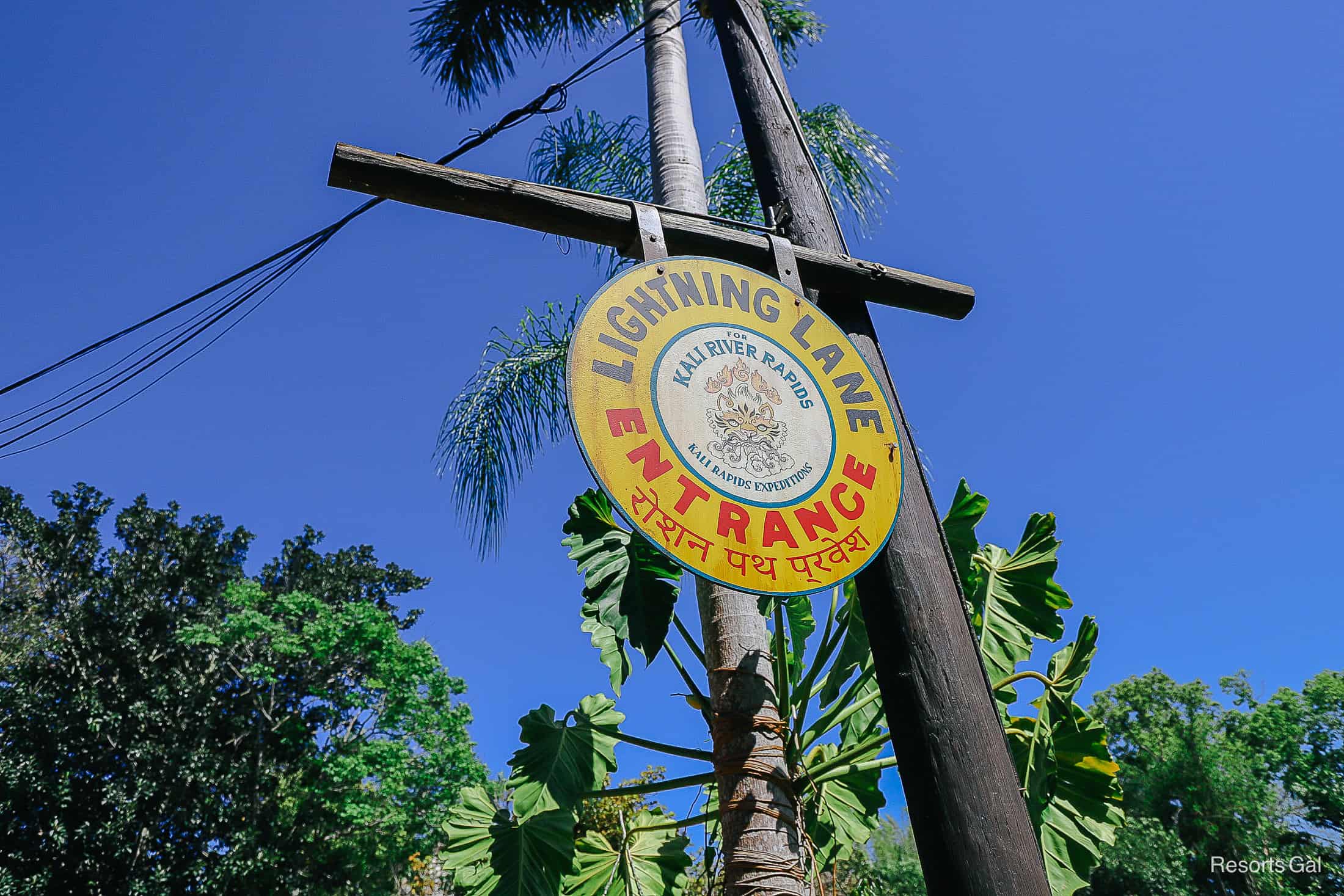 a decorative picture of Kali River Rapids signage 