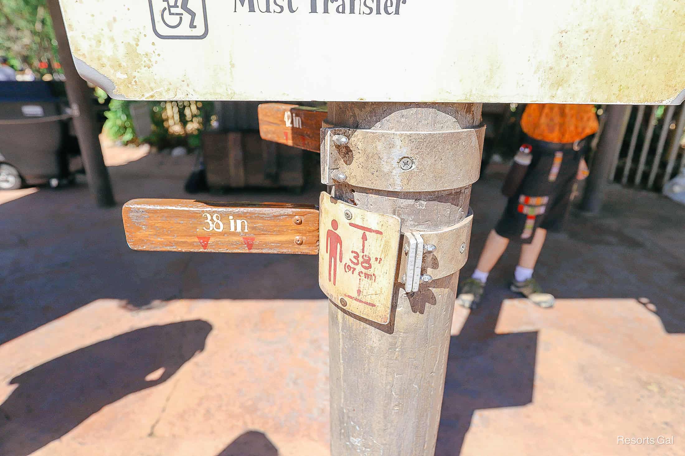 the height requirement marker for Kali River Rapids (38")