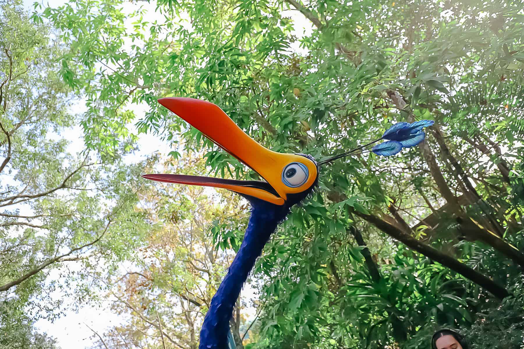 close up of Kevin's beak at Disney's Animal Kingdom