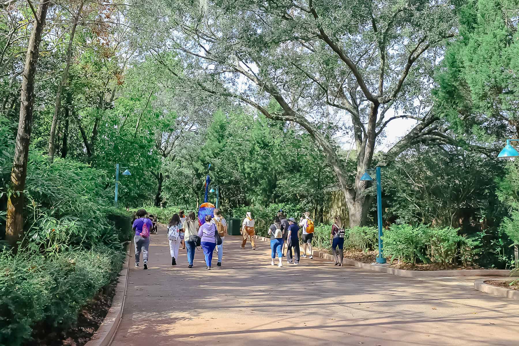 Kevin walking down a quiet path at Disney's Animal Kingdom 