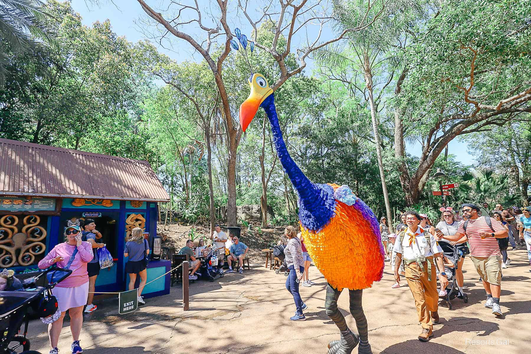 Kevin from Up wandering Disney's Animal Kingdom