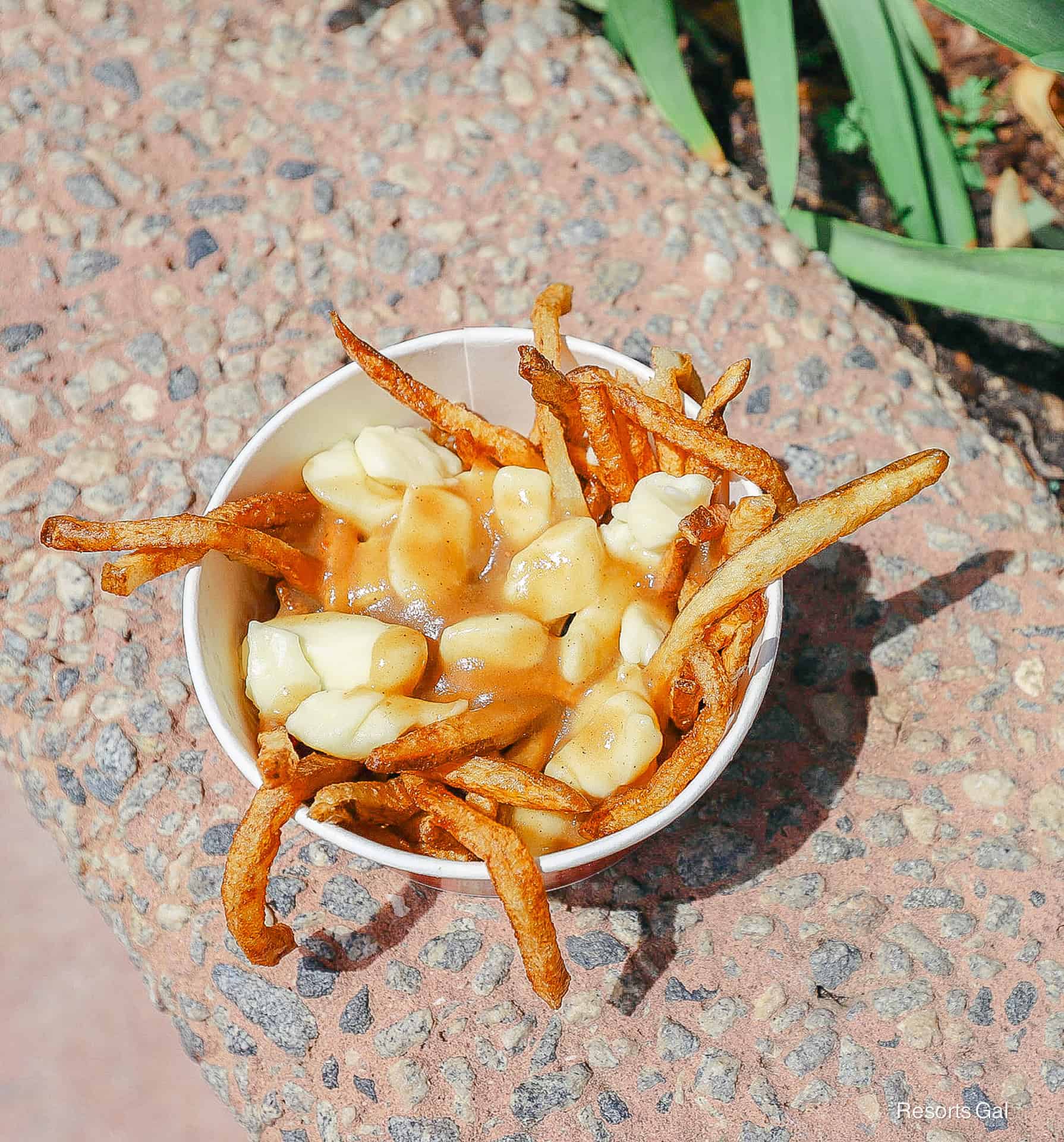 a closeup of authentic Quebec Poutine fries (vertical crop)