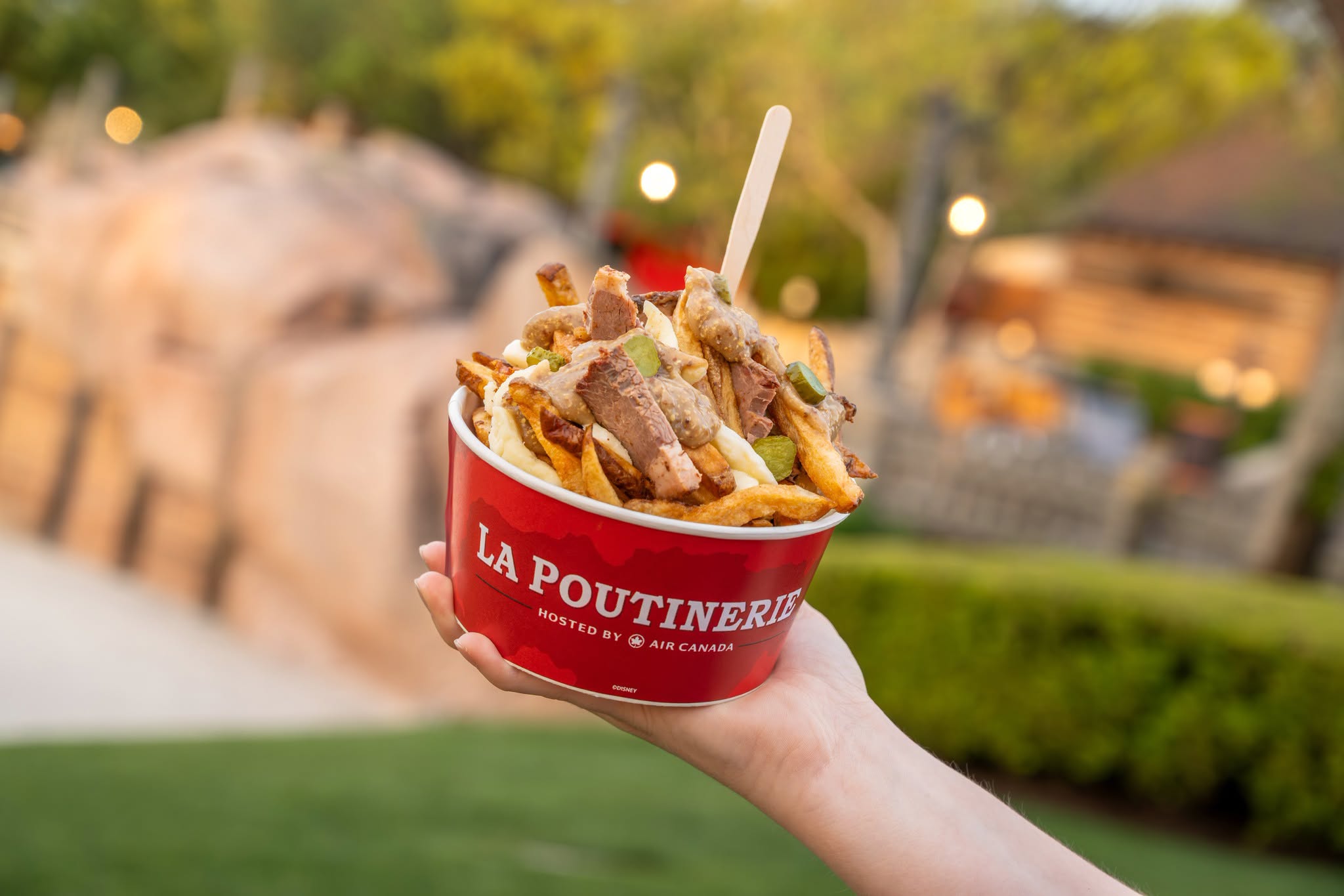 an order of Monteral Poutine Fries at Epcot 
