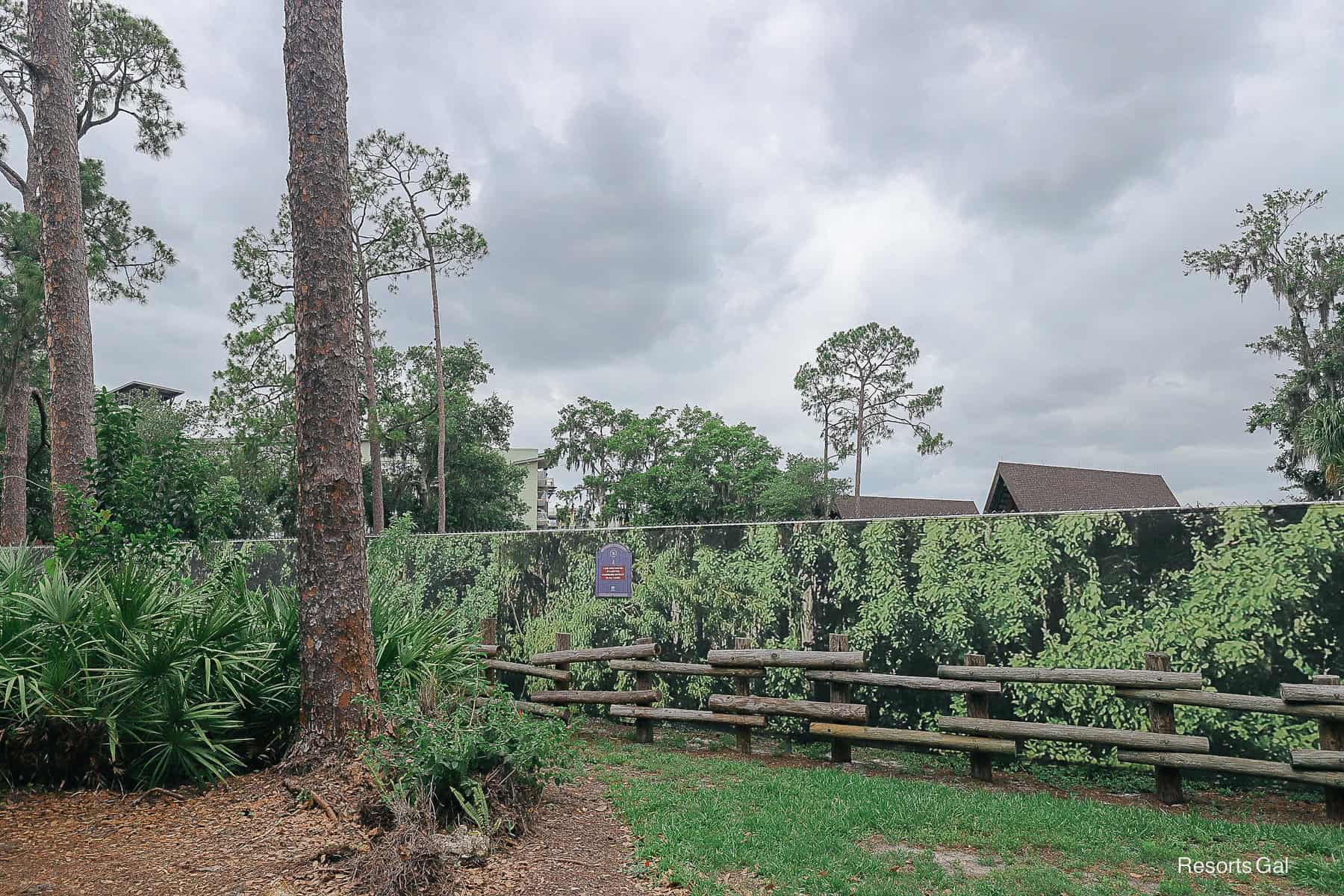 a construction fence that has a forest scene to blend in