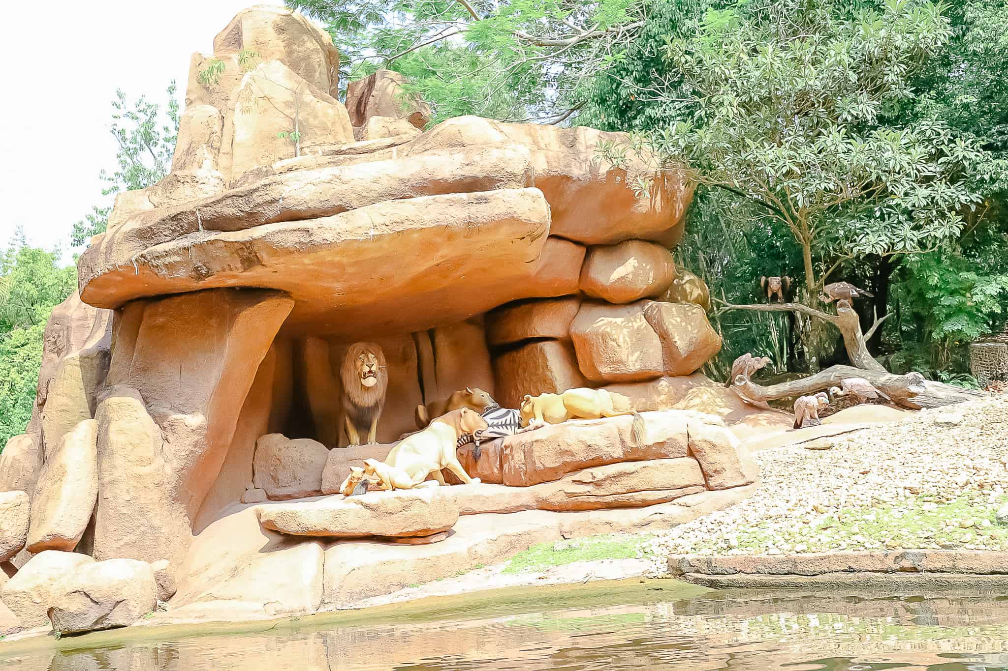 The lions den where the cubs and lioness are eating a zebra for dinner. 