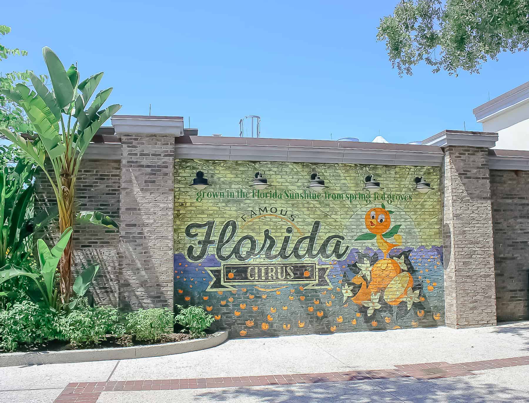 Orange Bird Art Mural near some of the restaurants at Disney Springs. 