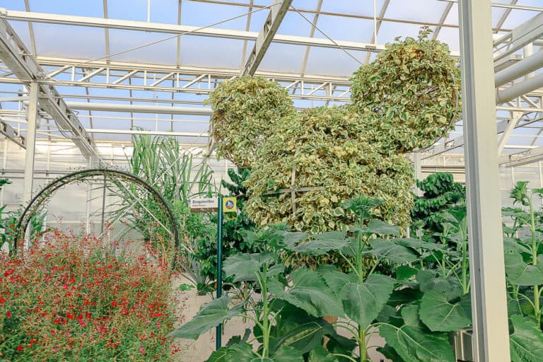 Living with the Land at Epcot (An Attraction Guide)