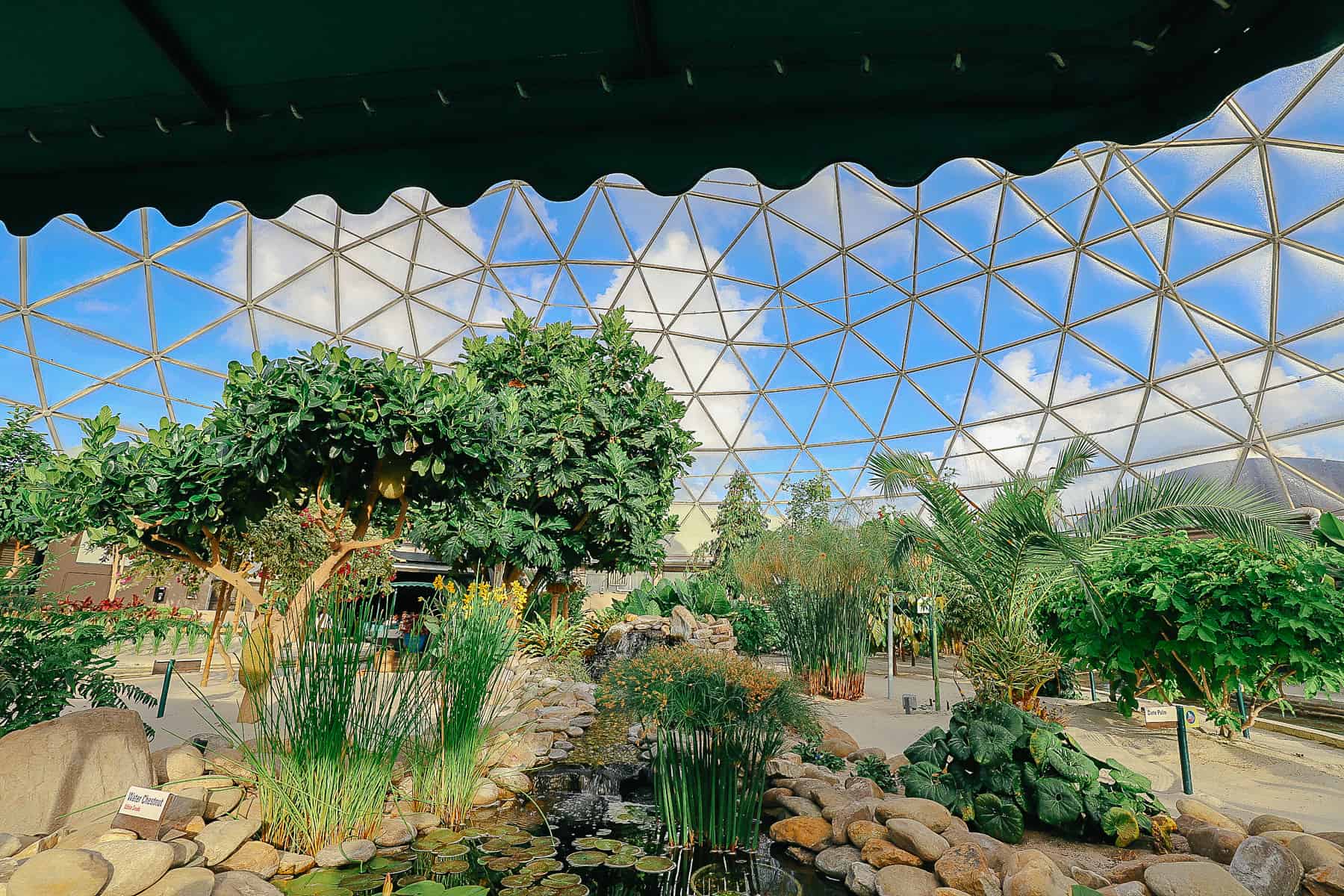 scenic photo of the Living with the Land dome with blue skies and clouds beyond it