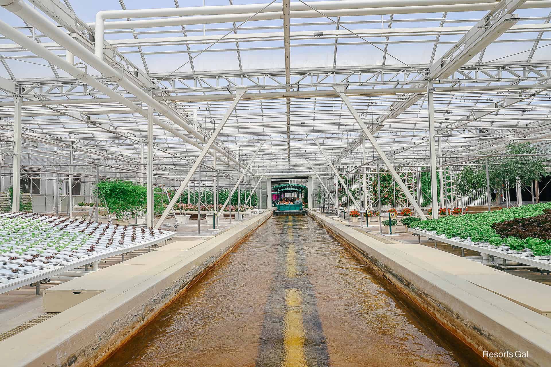 the boat ride goes directly through the center of the greenhouses in Epcot's Land Pavilion