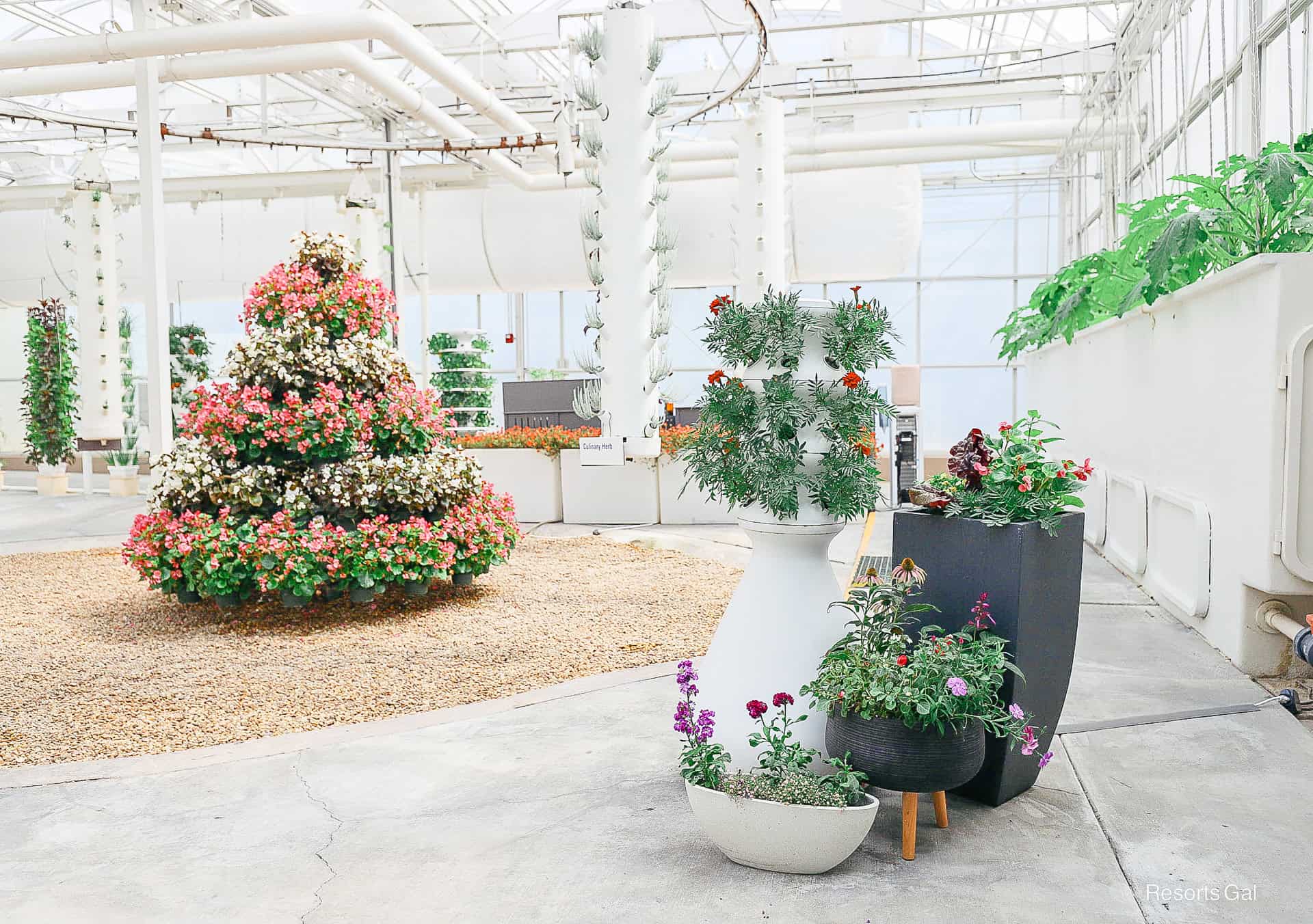 a tower of edible flowers