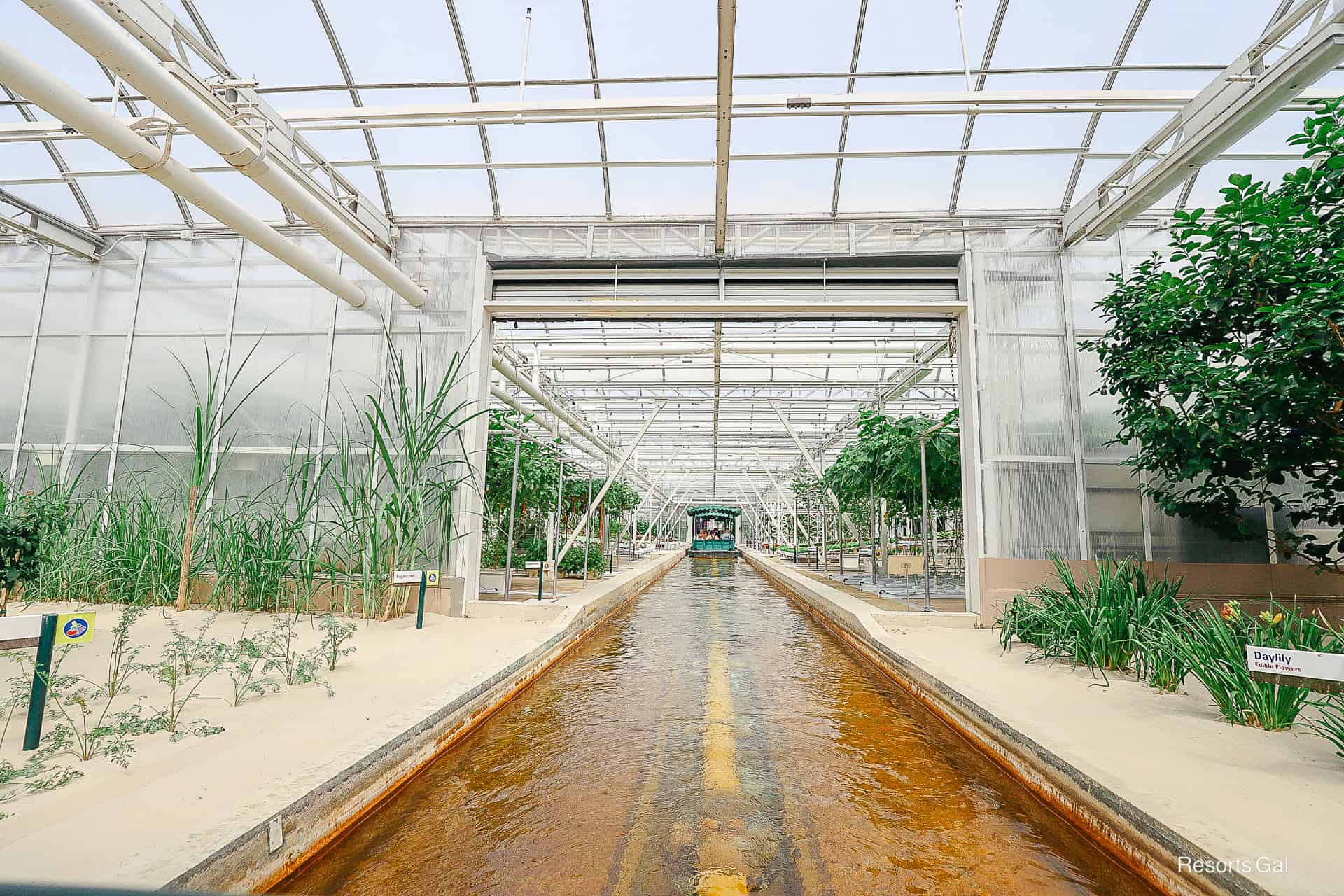 a boat passes between two joined greenhouses on Living with the Land