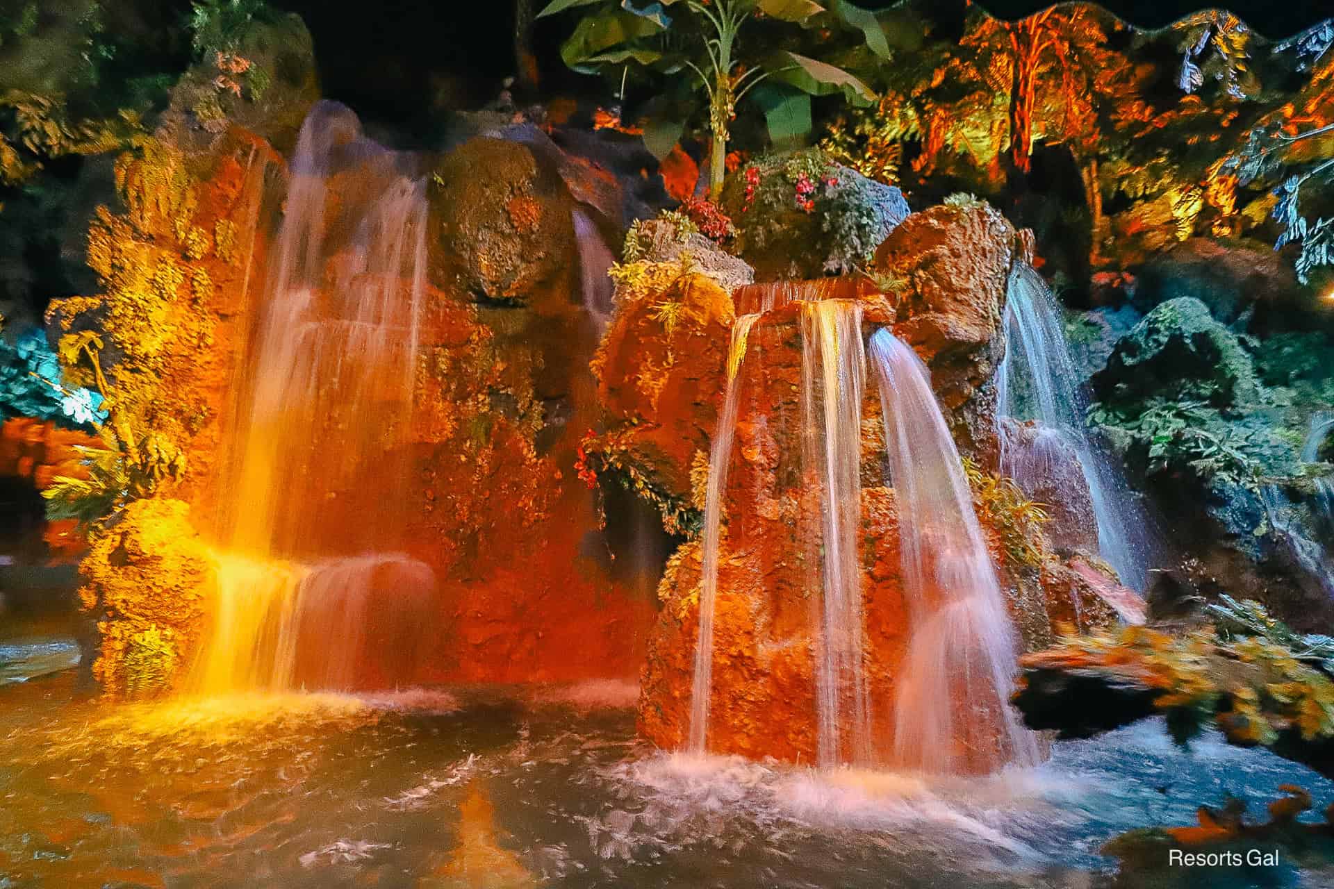 the rainforest scene on Living with the Land