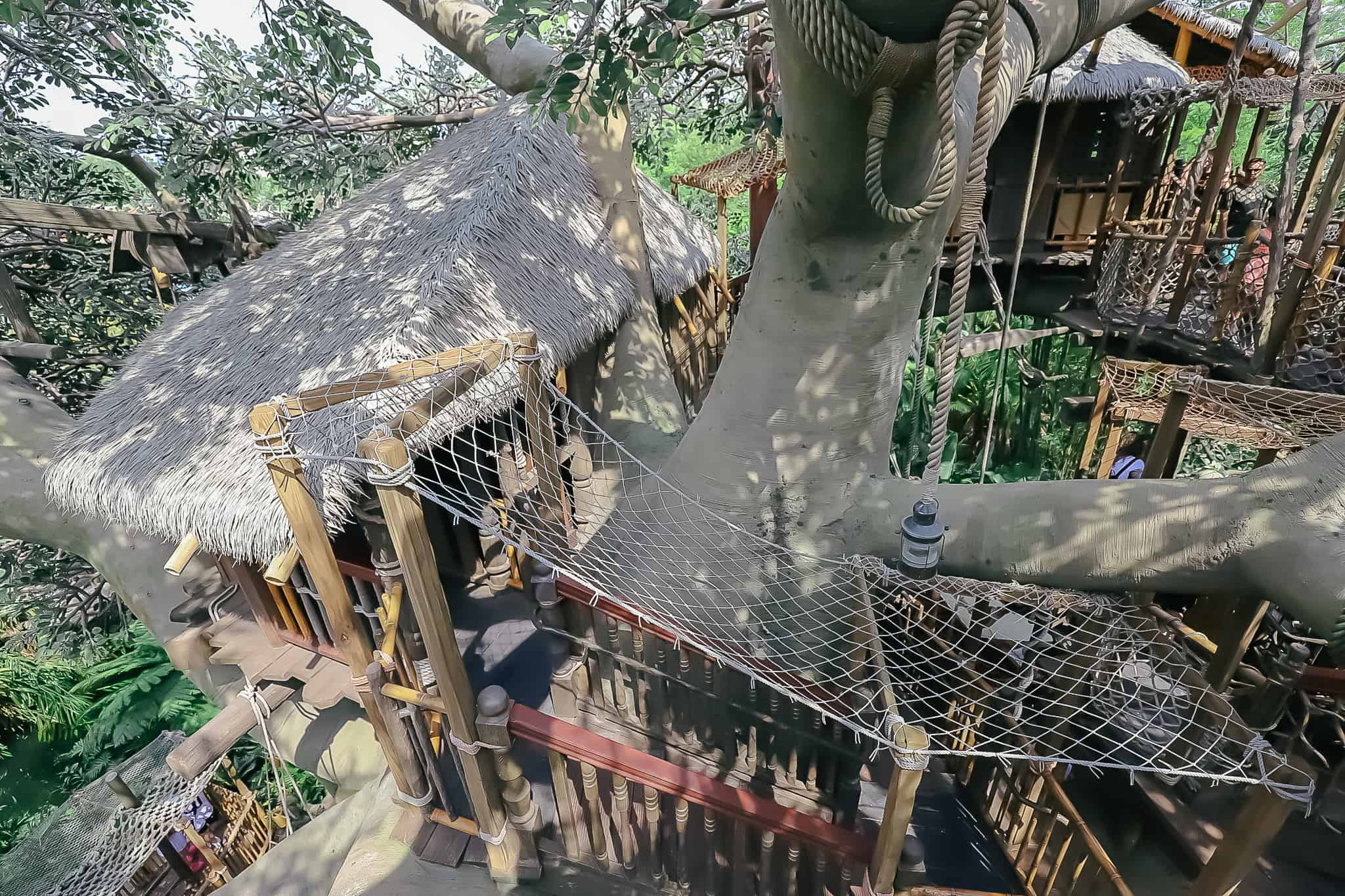 looking down from the top of the treehouse 