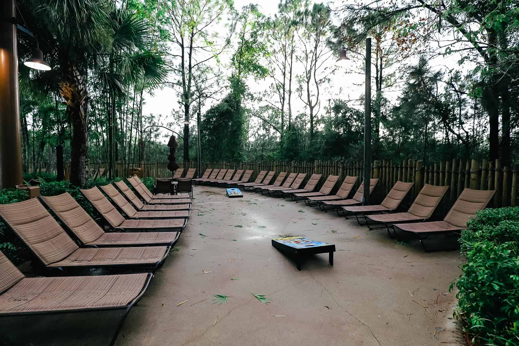 rows of lounge chairs 