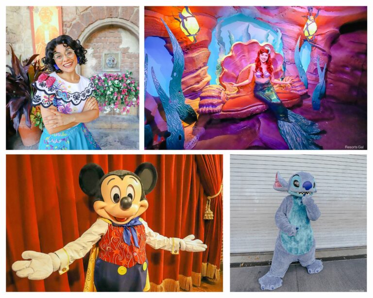 Magic Kingdom Characters Guide