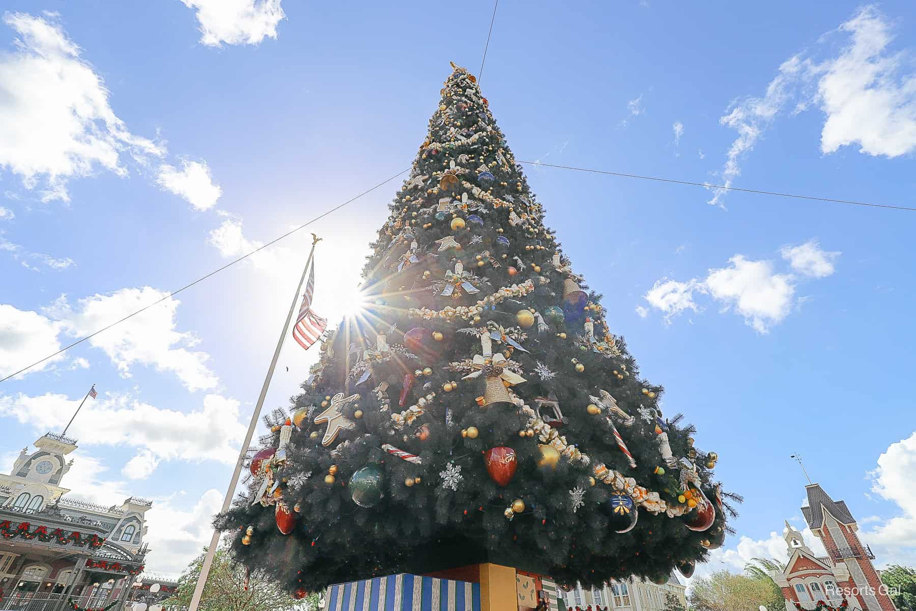 the Christmas Tree in Town Square at Magic Kingdom