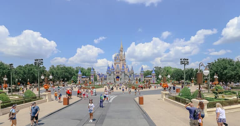 Magic Kingdom Guide