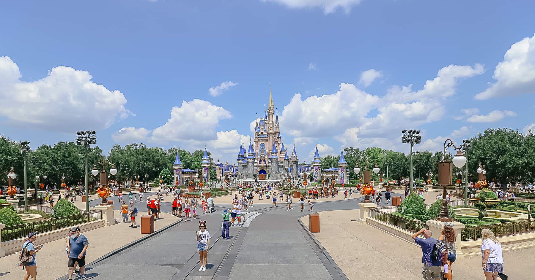 Magic Kingdom Guide