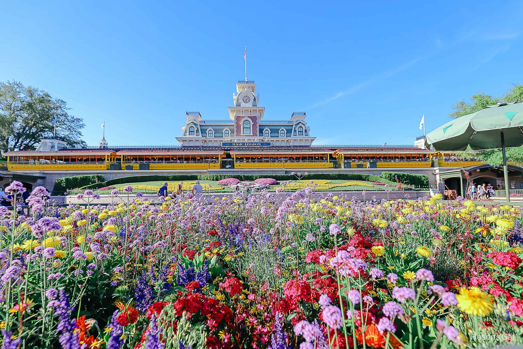 the entrance to Magic Kingdom with the yellow train cars and wildflowers in the Springtime 