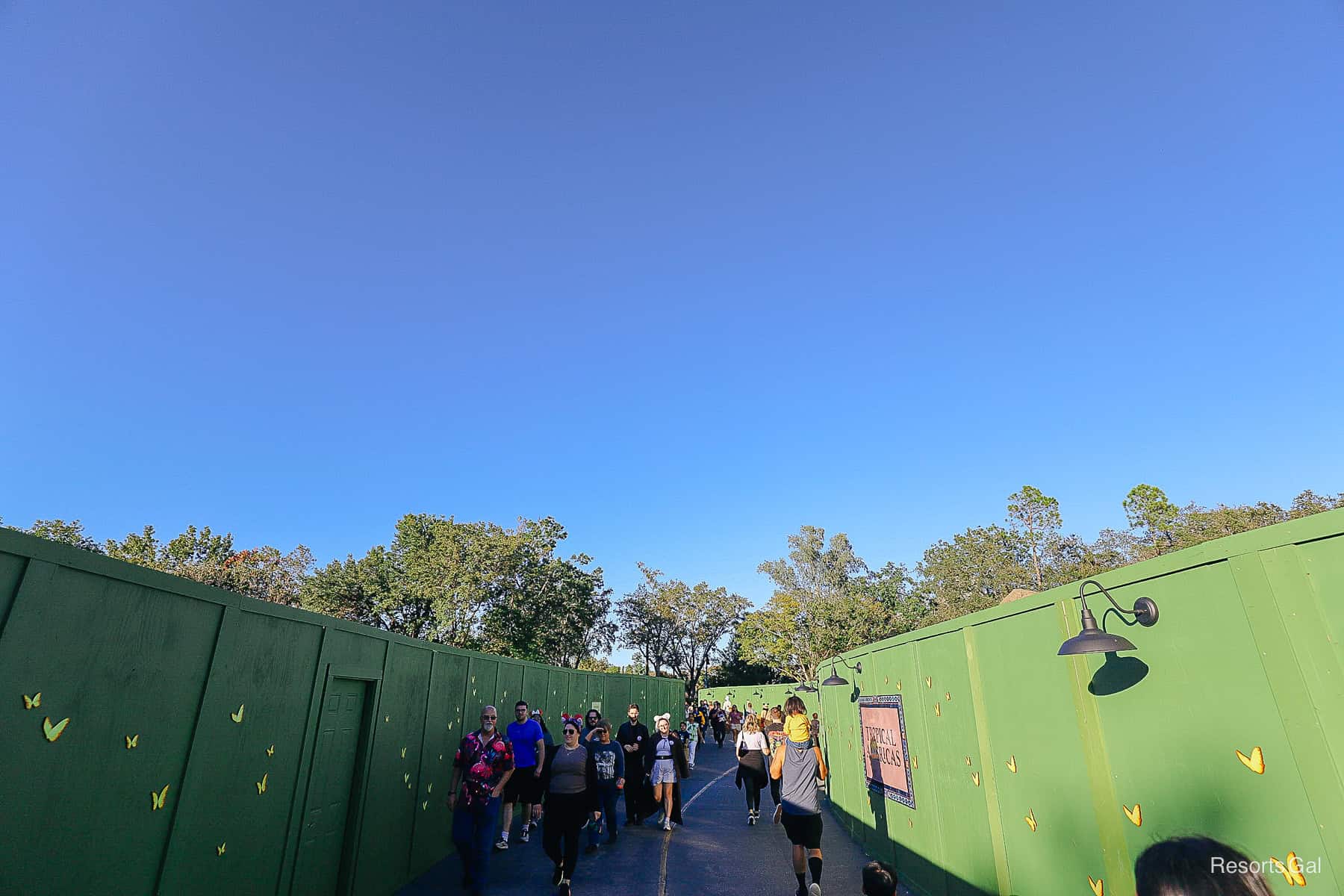 guests walking through a wall of mazes 