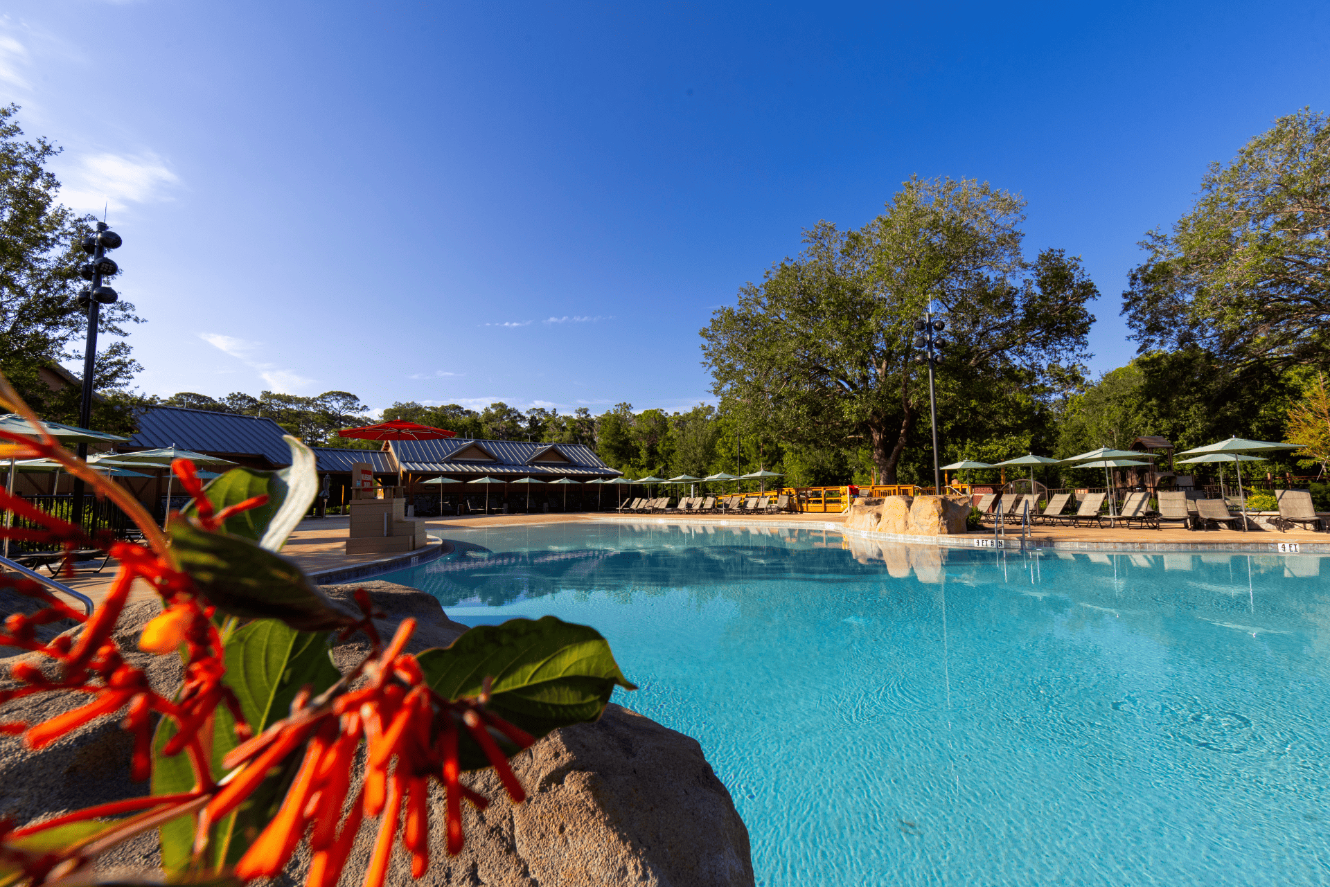 new pool at Fort Wilderness