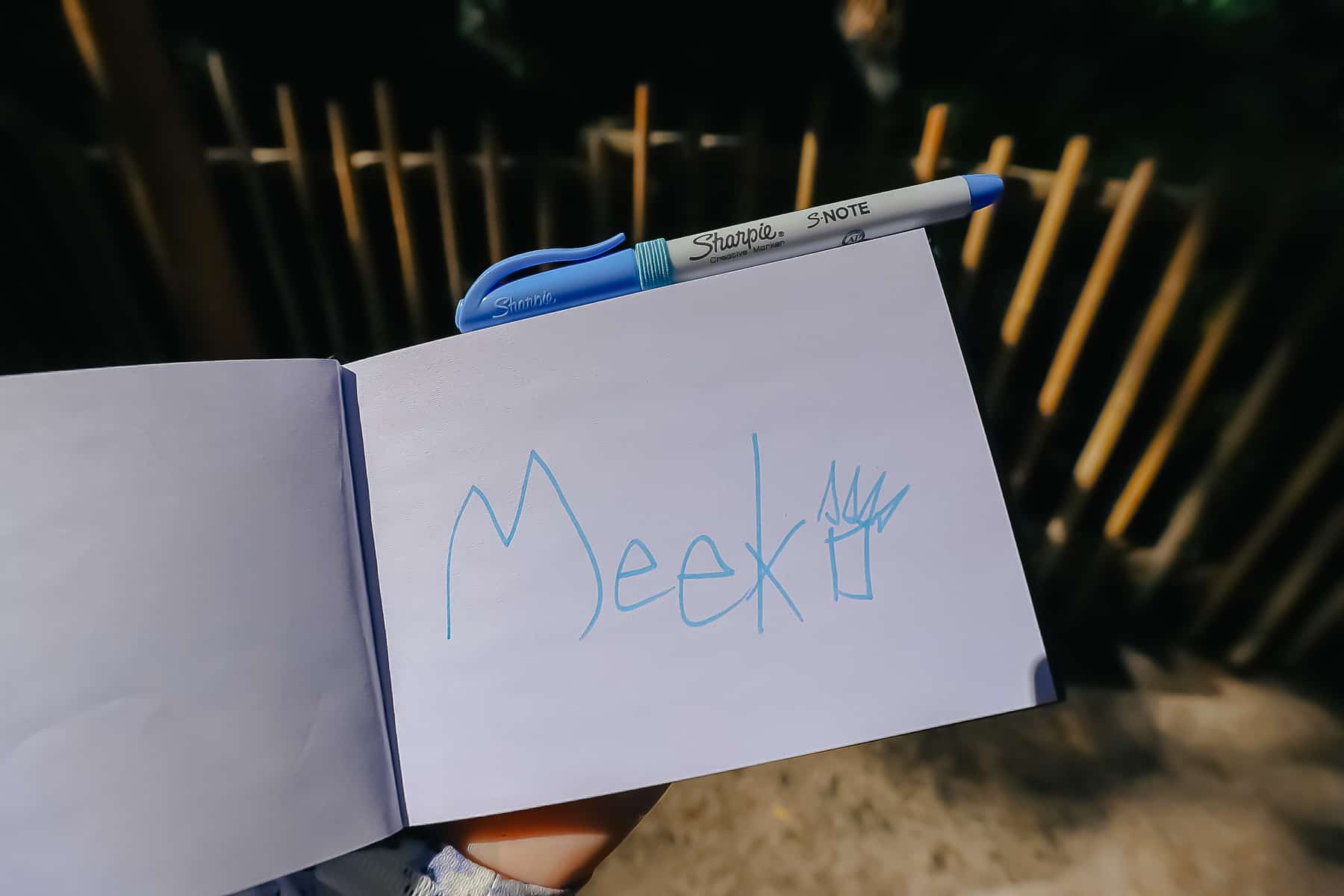 Meeko's character autograph