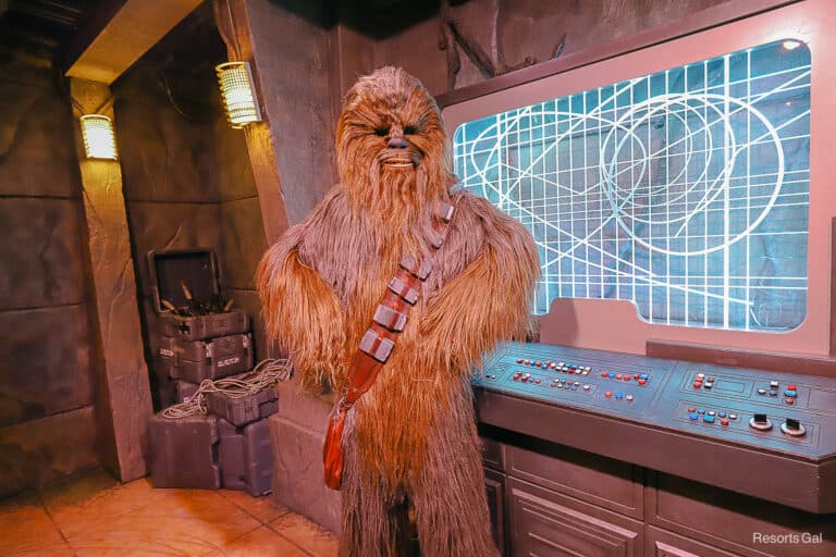Chewbacca Meet and Greet at Disney's Hollywood Studios