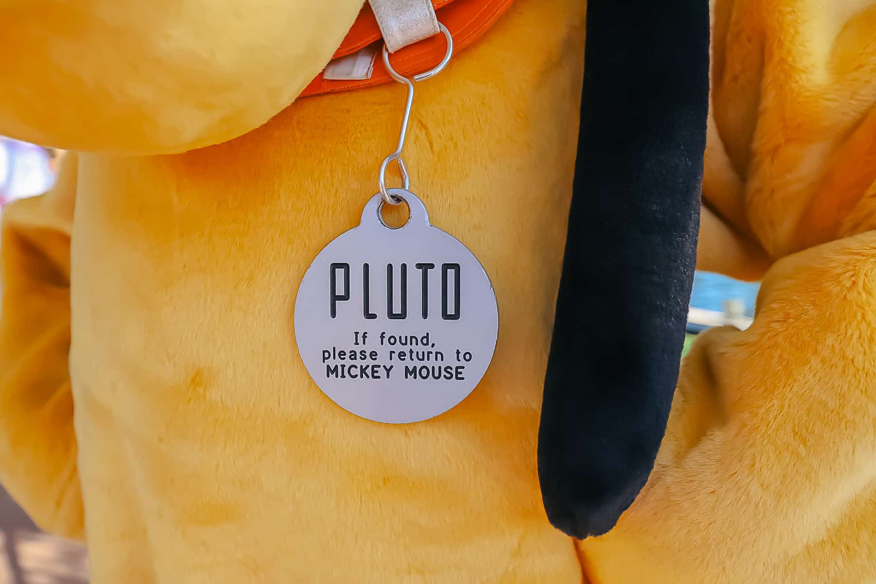 Pluto's dog tag says "Pluto If found, please return to Mickey Mouse."
