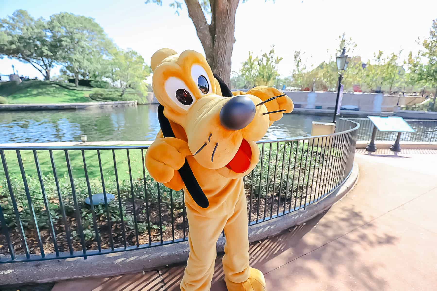 Pluto by the back entrance of Epcot. 