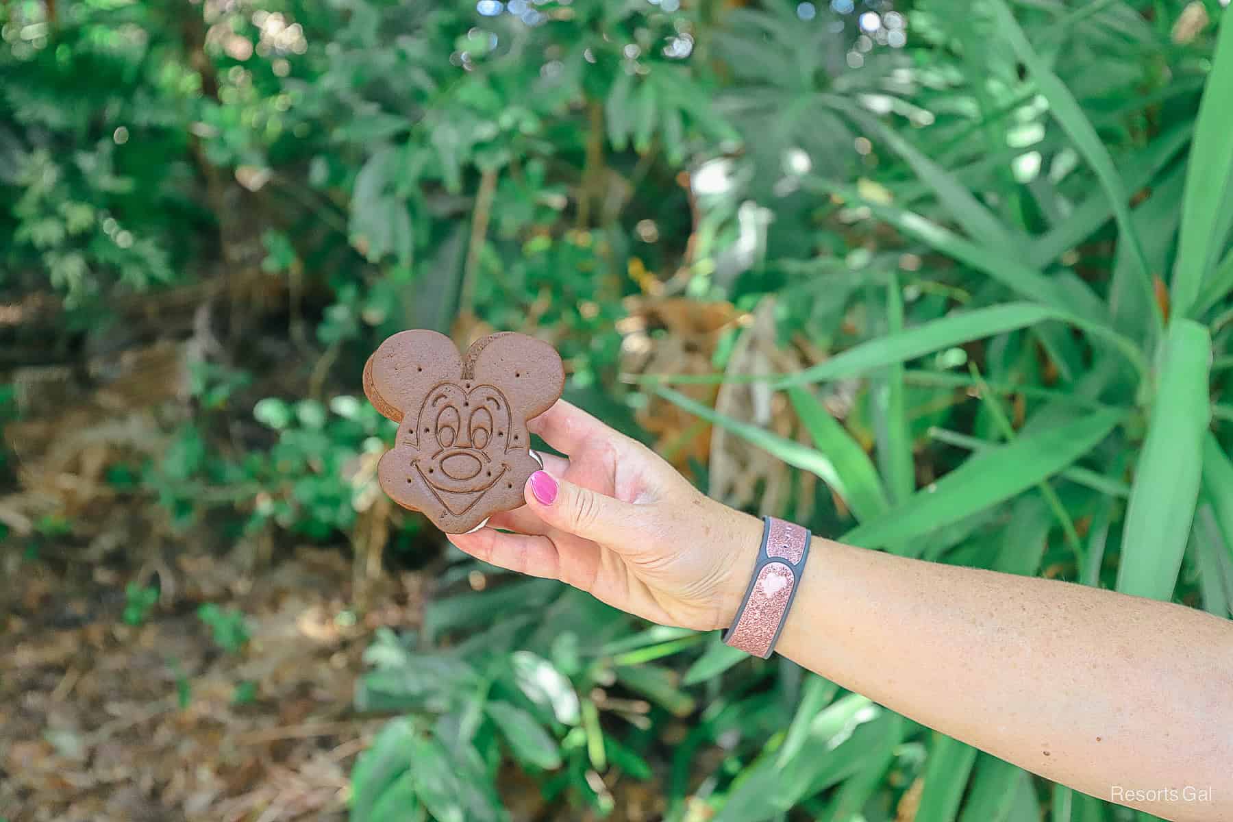 a hand holding a Mickey ice cream sandwich