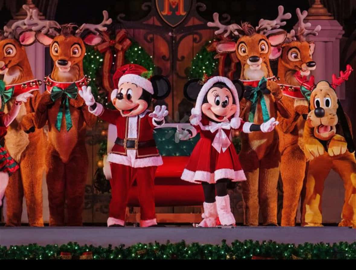 Mickey and Minnie Mouse castle stage show