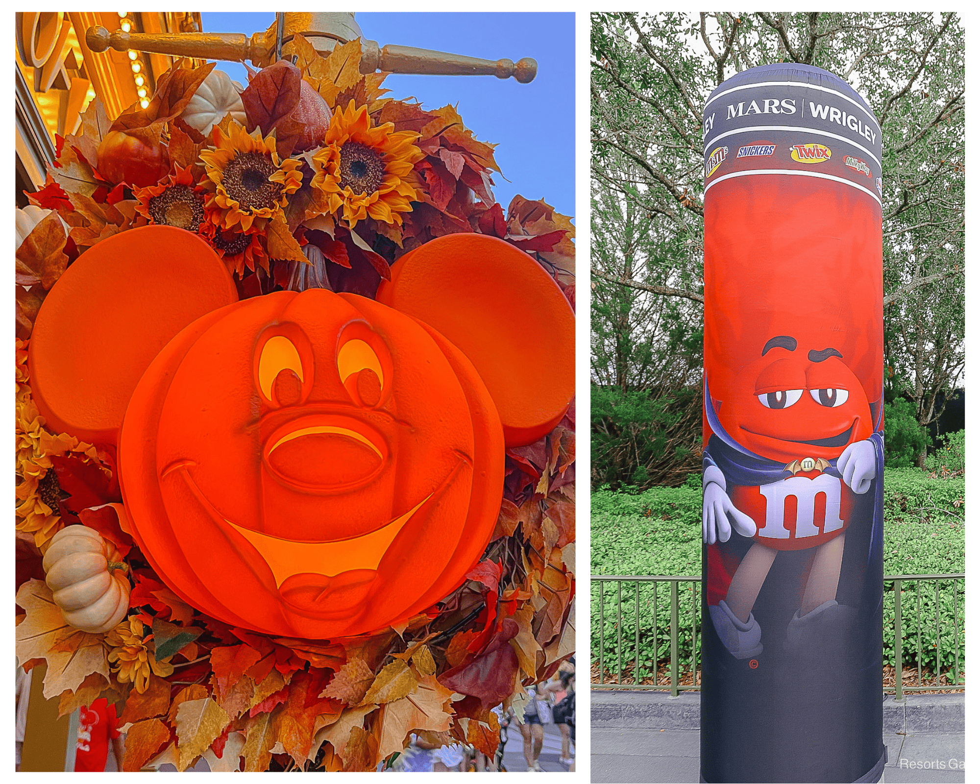 Complete List of Trick-or-Treat Locations at Mickey’s Not So Scary Halloween Party in 2025
