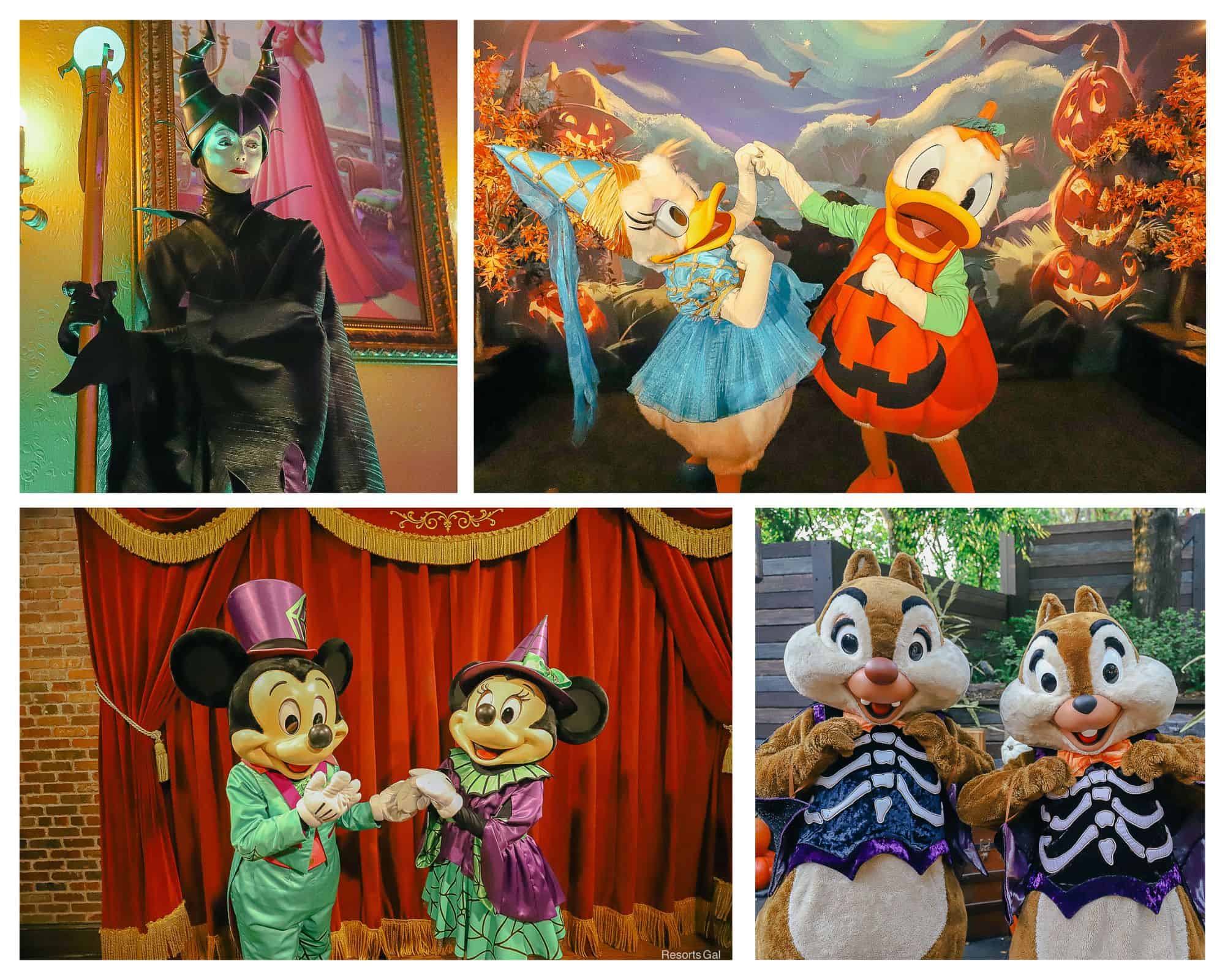 Characters at Mickey's Not So Scary Halloween Party