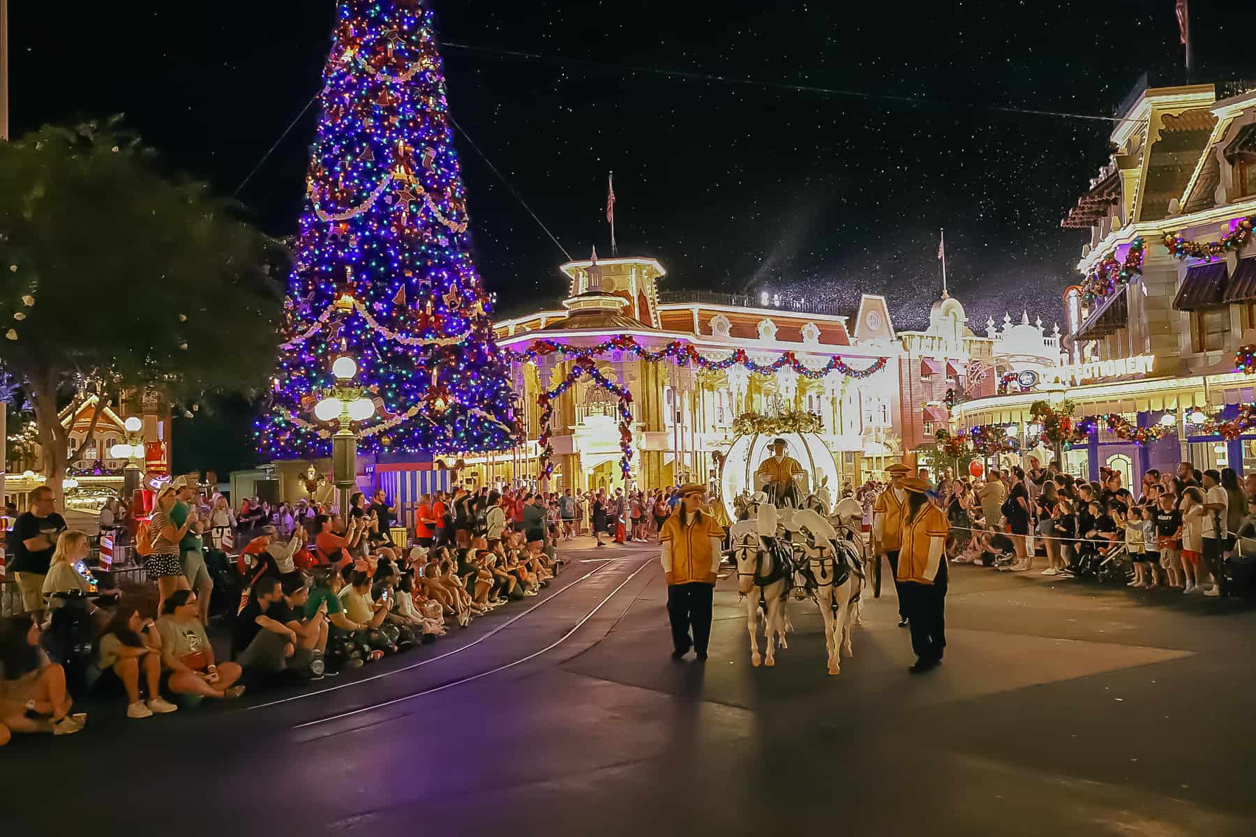 Cinderella's coach with miniature white horses in the Christmas Parade. 