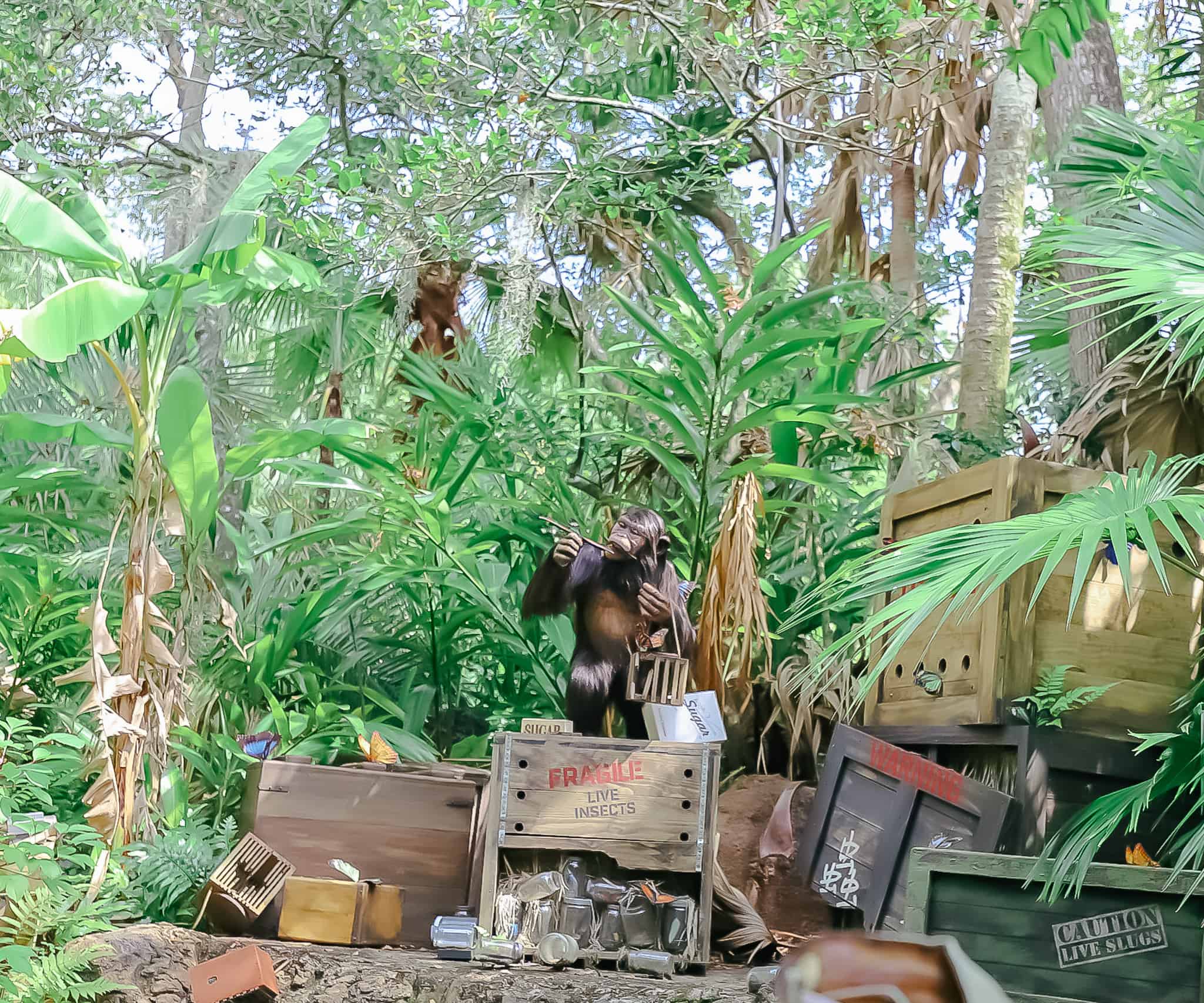 A monkey going through packages from the wreckage. 