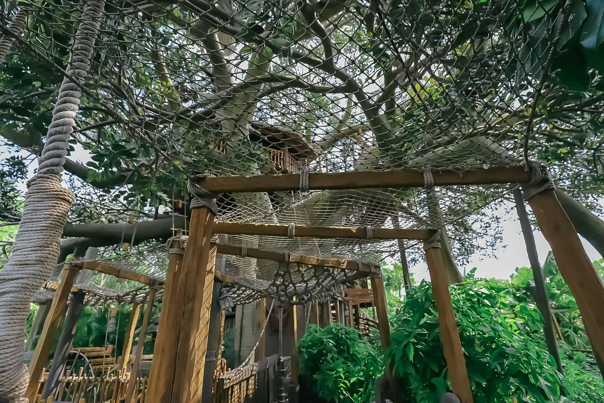 netting over the walkway into the treehouse 