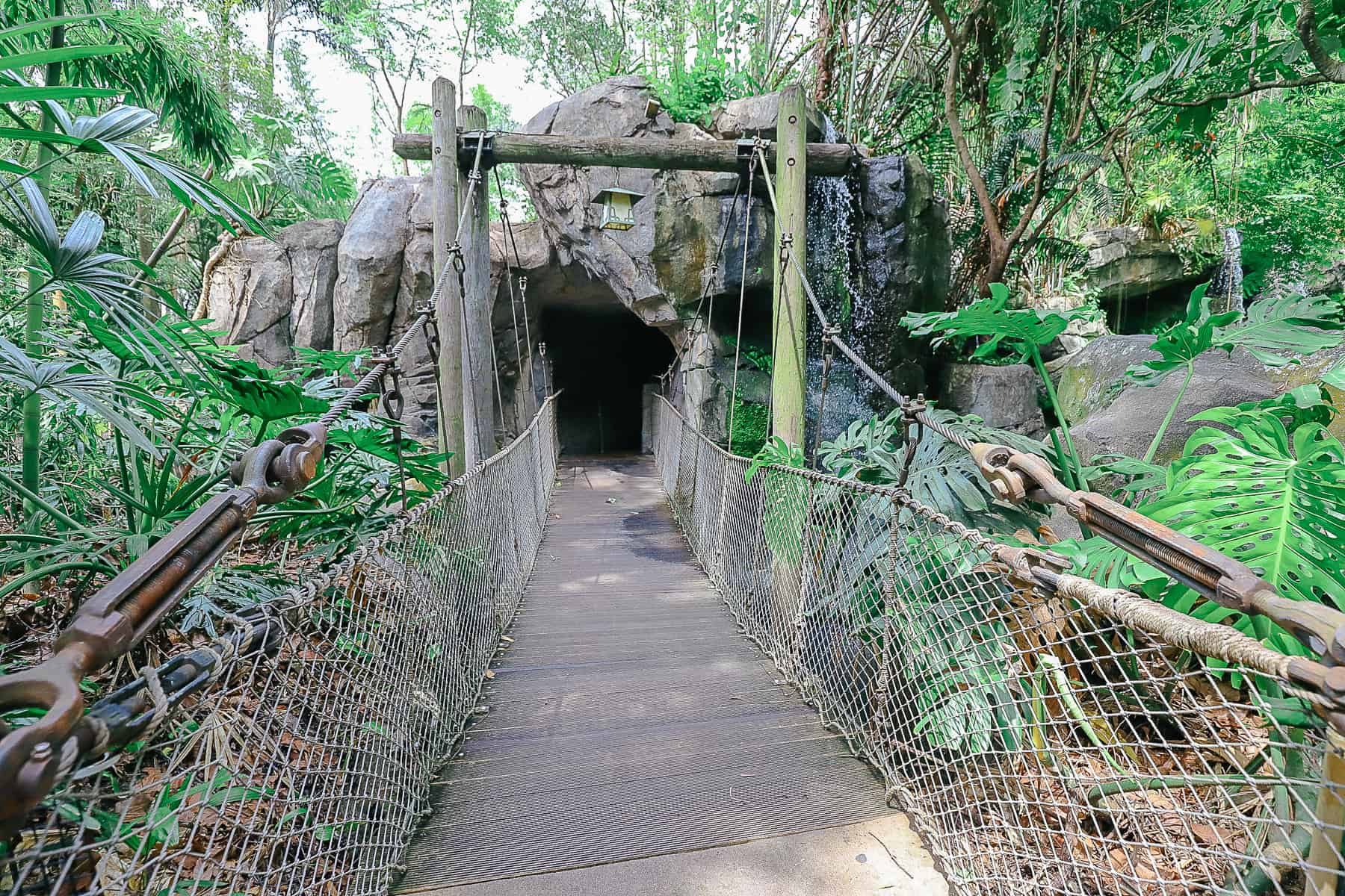 a bridge to see more animals at Disney's Animal Kingdom 