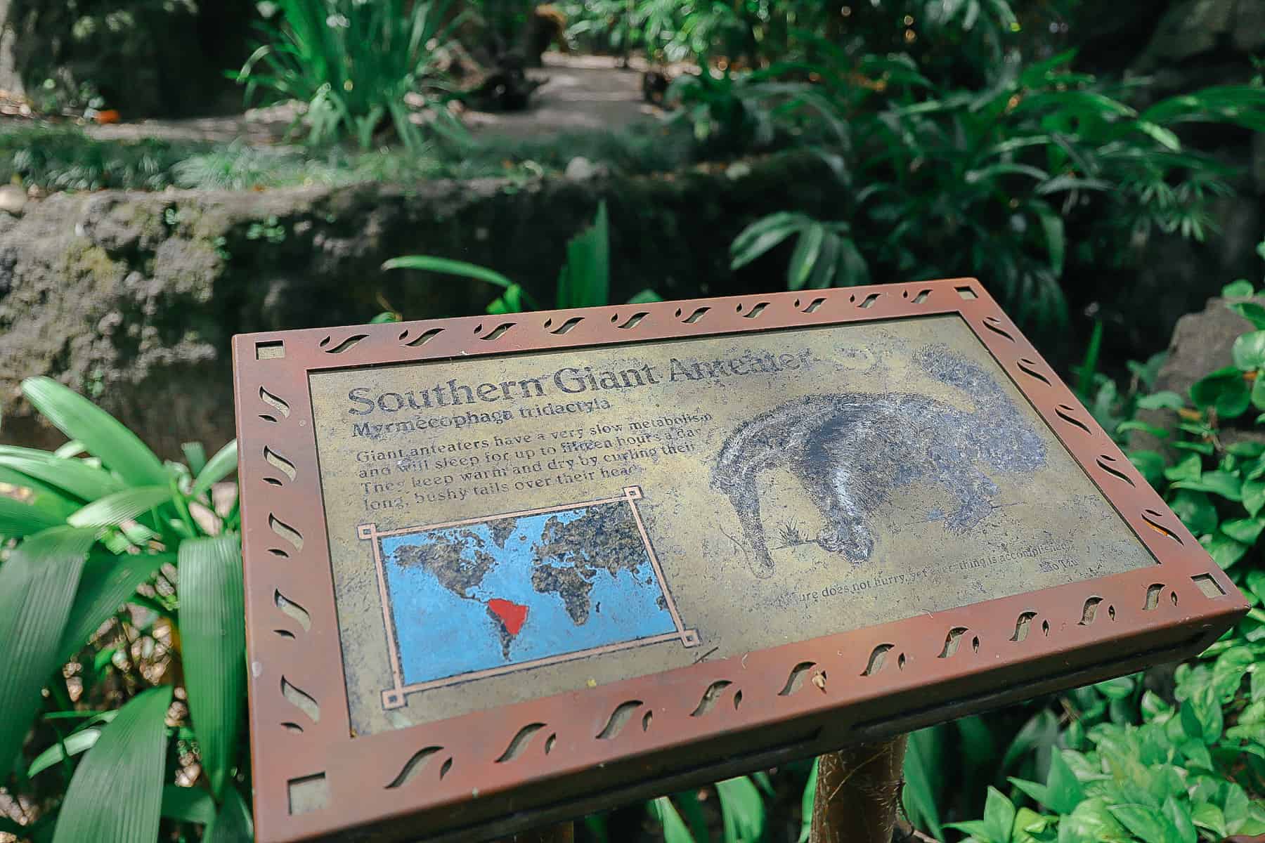 signage for the Southern Giant Anteater 