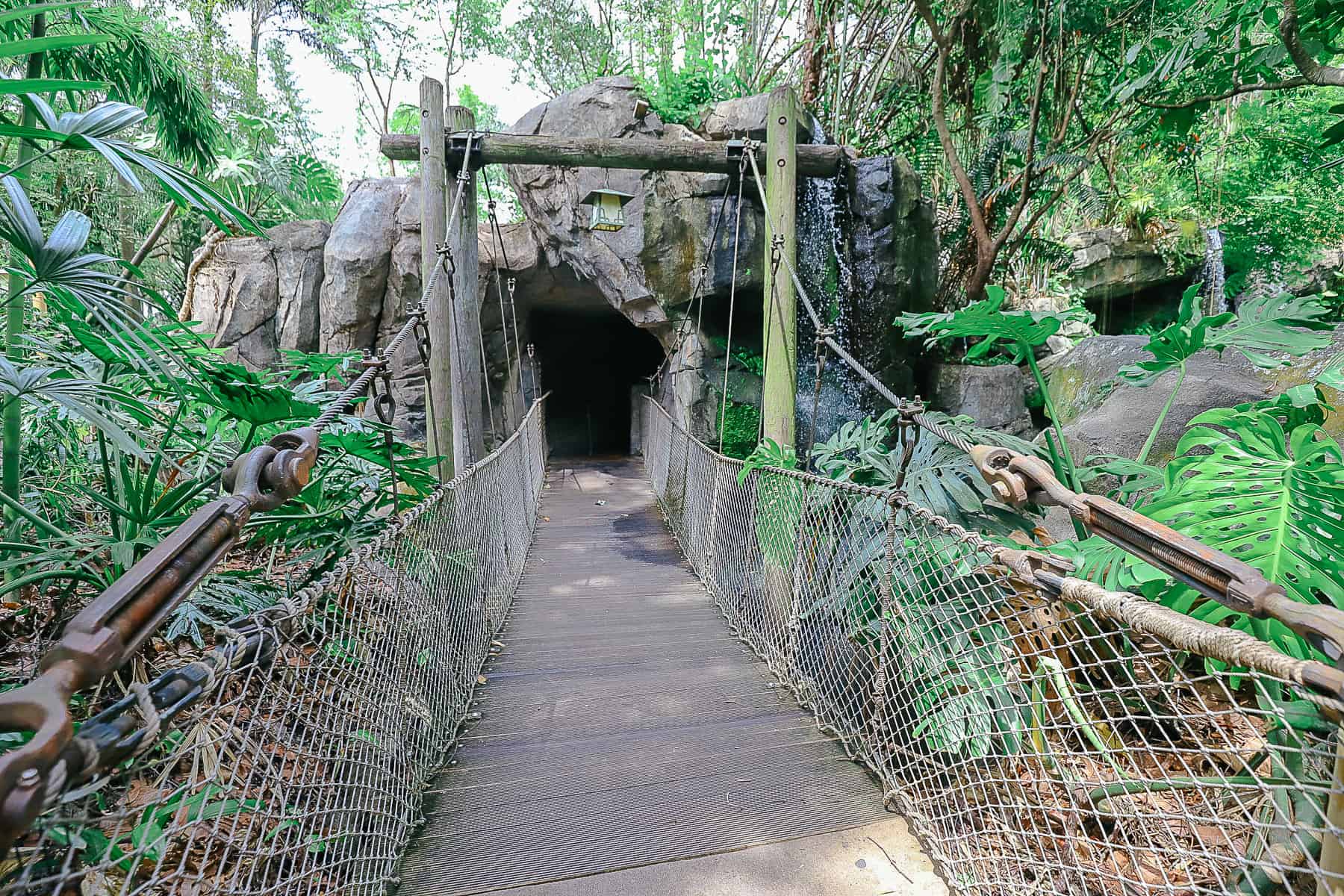 a bridge that connects The Oasis to Discovery Island 