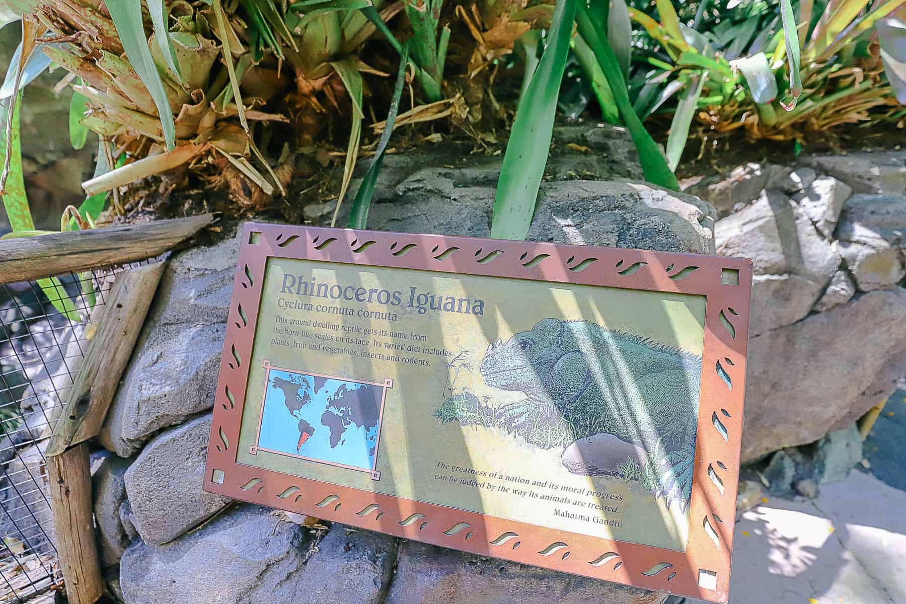 Rhinoceros Iguana signage 