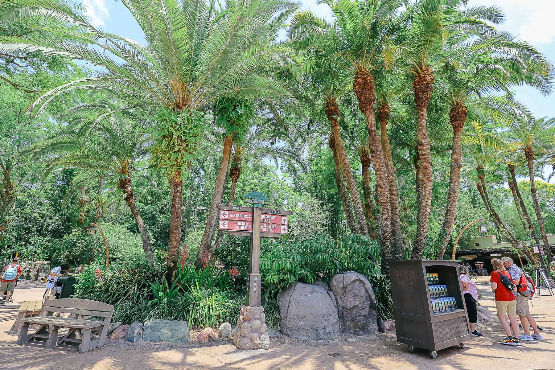 a walkway to the left or the right both lead through The Oasis exhibits at Disney's Animal Kingdom 