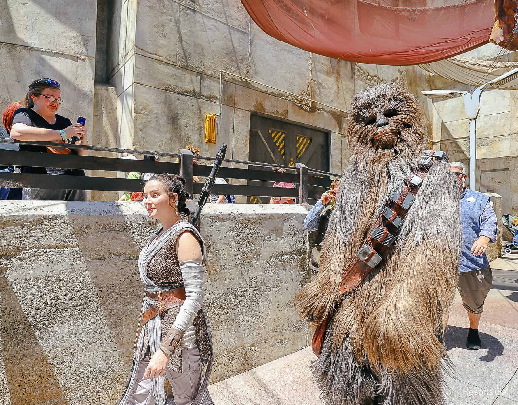 Chewbacca roaming Galaxy's Edge with Rey 