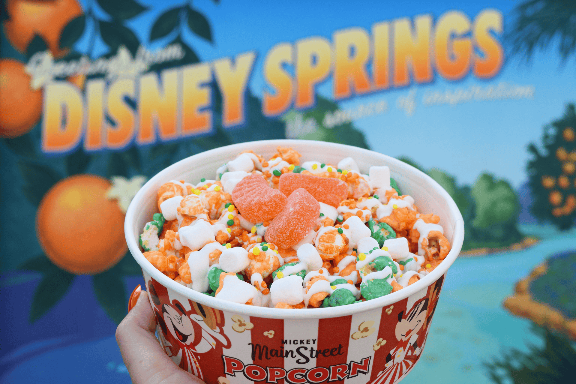 Citrus flavor popcorn disney springs