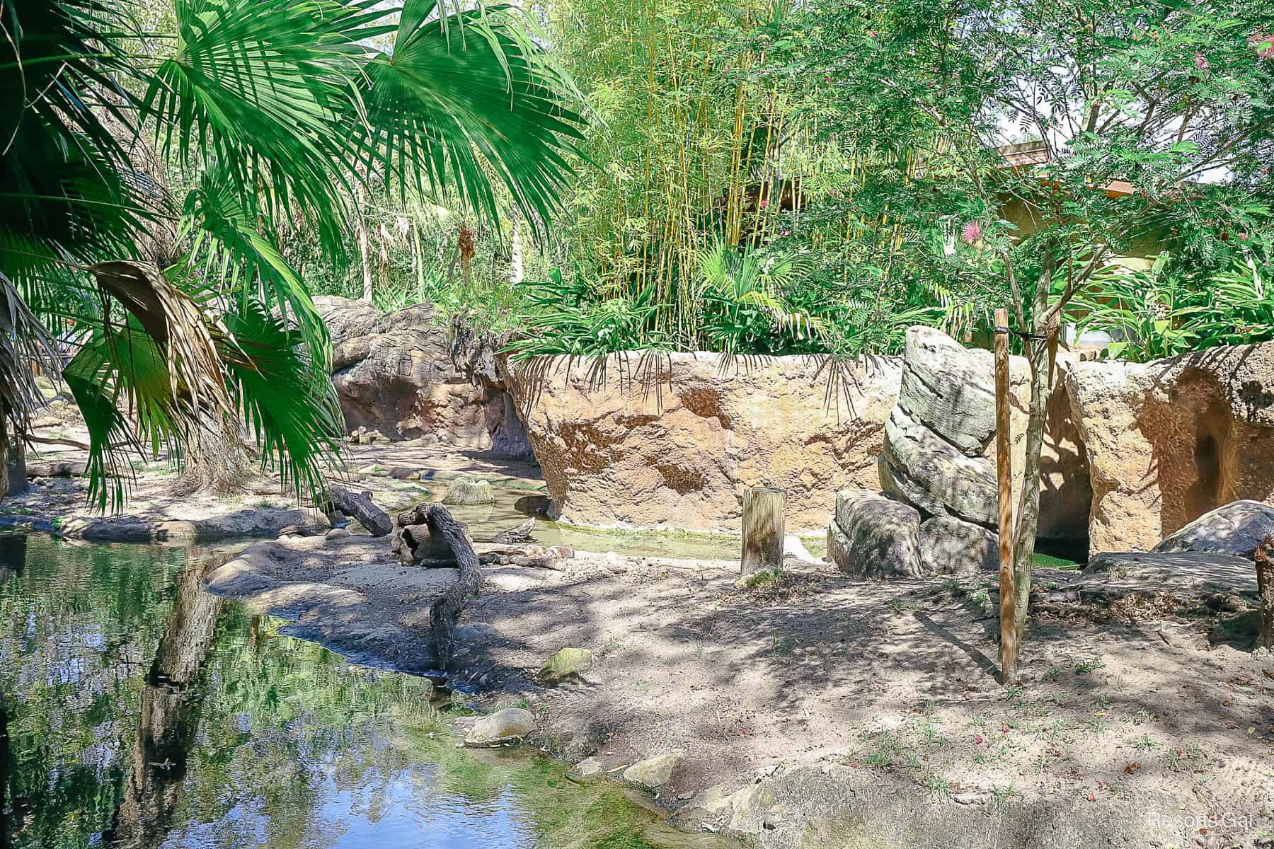 an otter exhibit along the Discovery Island Trails 