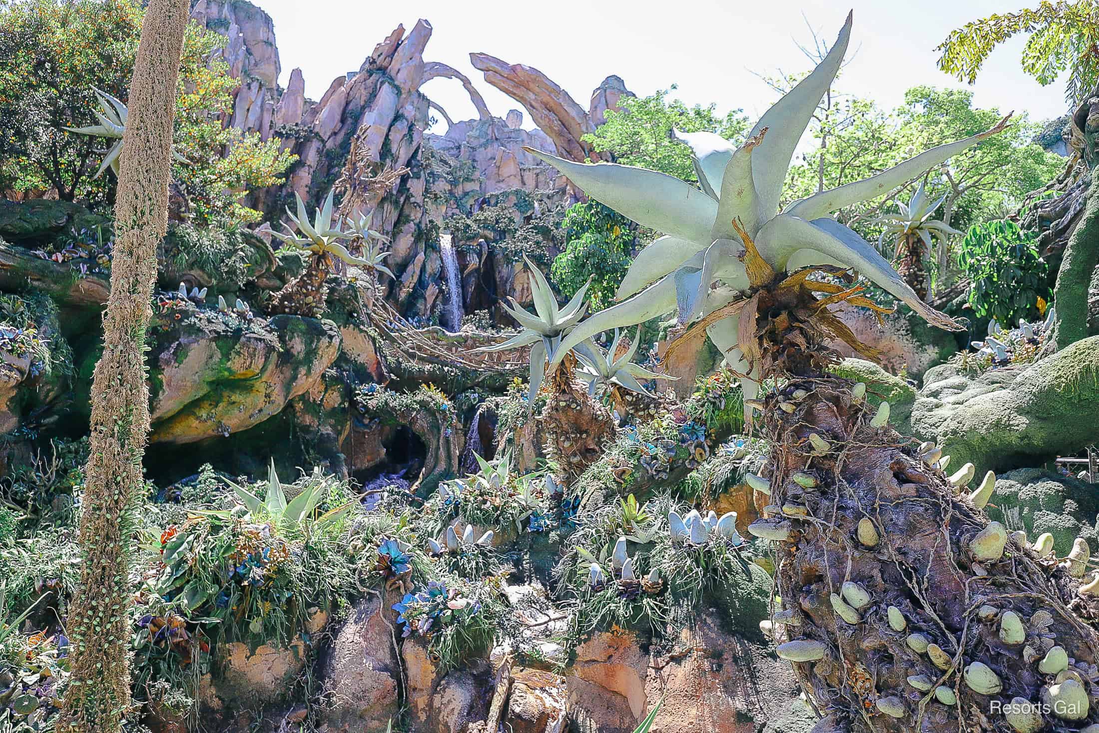 a view of the mountain toward the bridge of the queue portion of Flight of Passage 