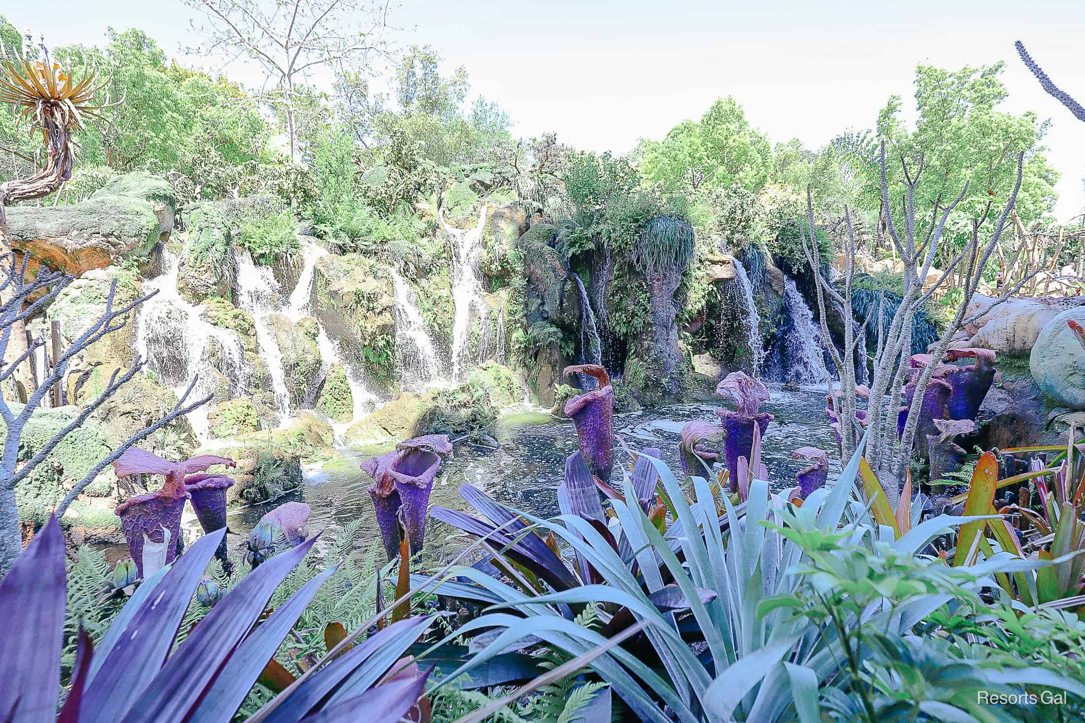 purple bulbs sitting in front of scenic waterfalls  