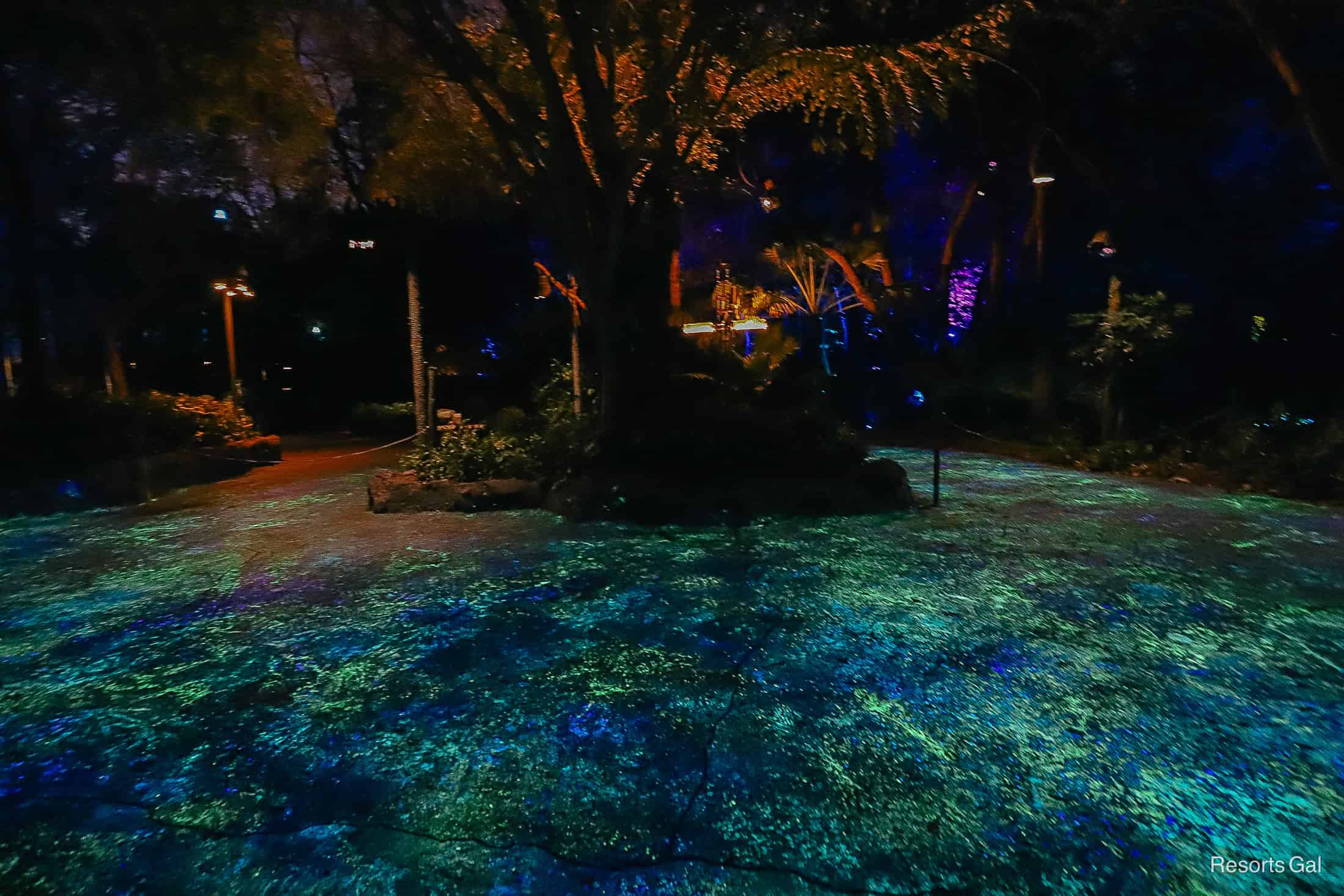 a large area of bright glowing walkways through Pandora, World of Avatar 