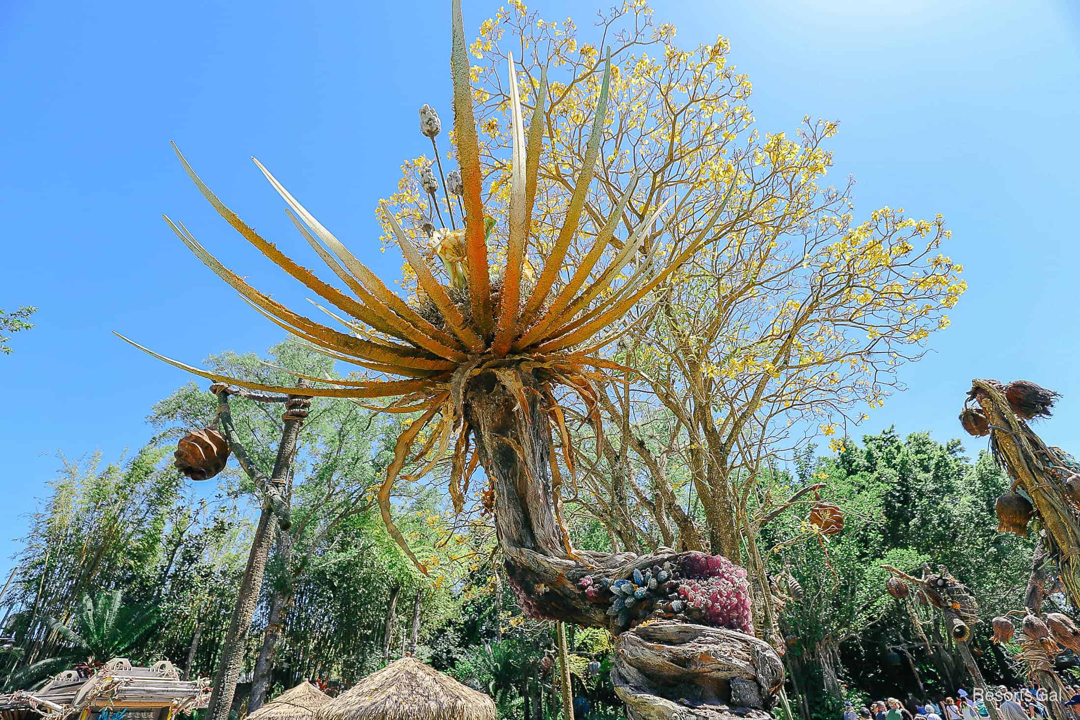 a pretty yellow flower with a tree full of yellow blooms behind it 