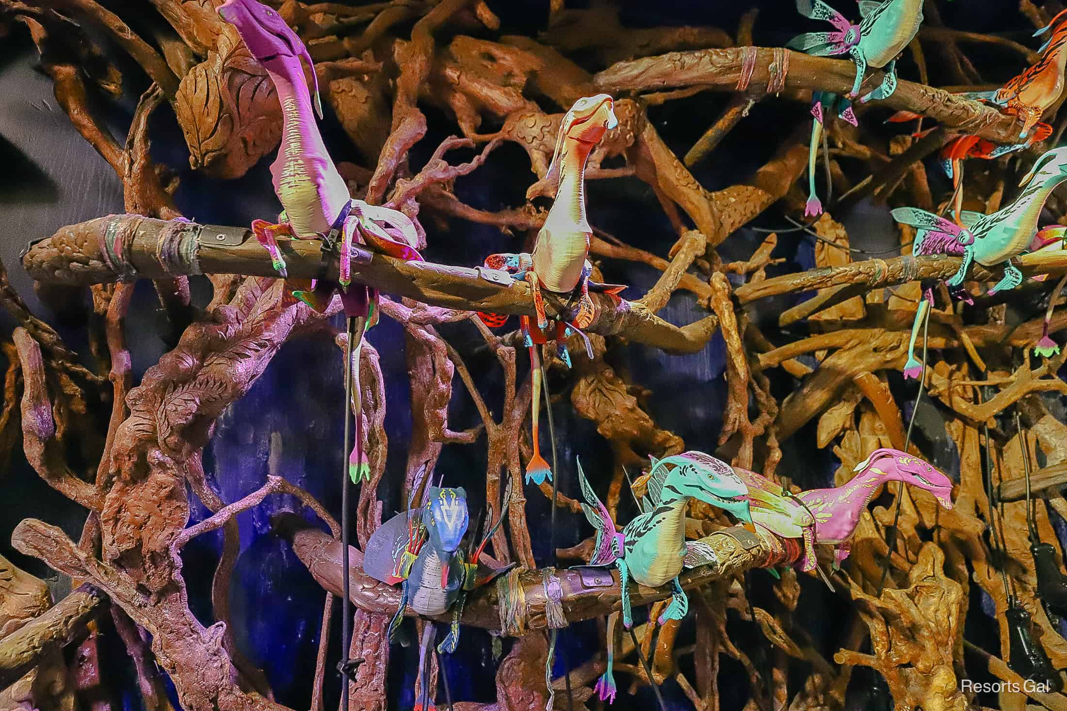 banshees sittings on branches in the gift shop 